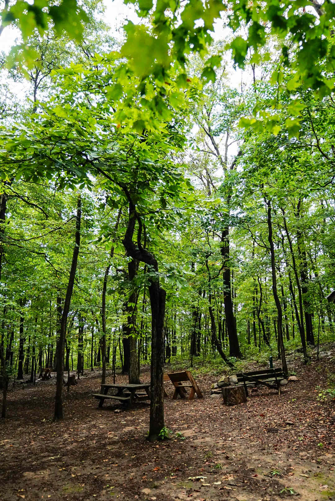 Bears Den Campground