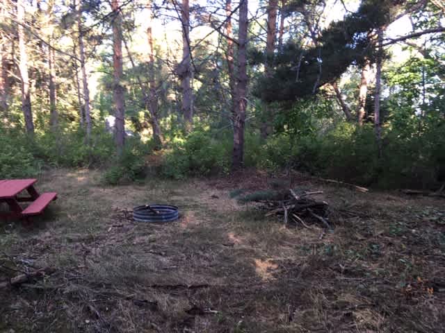 Camp Site 1