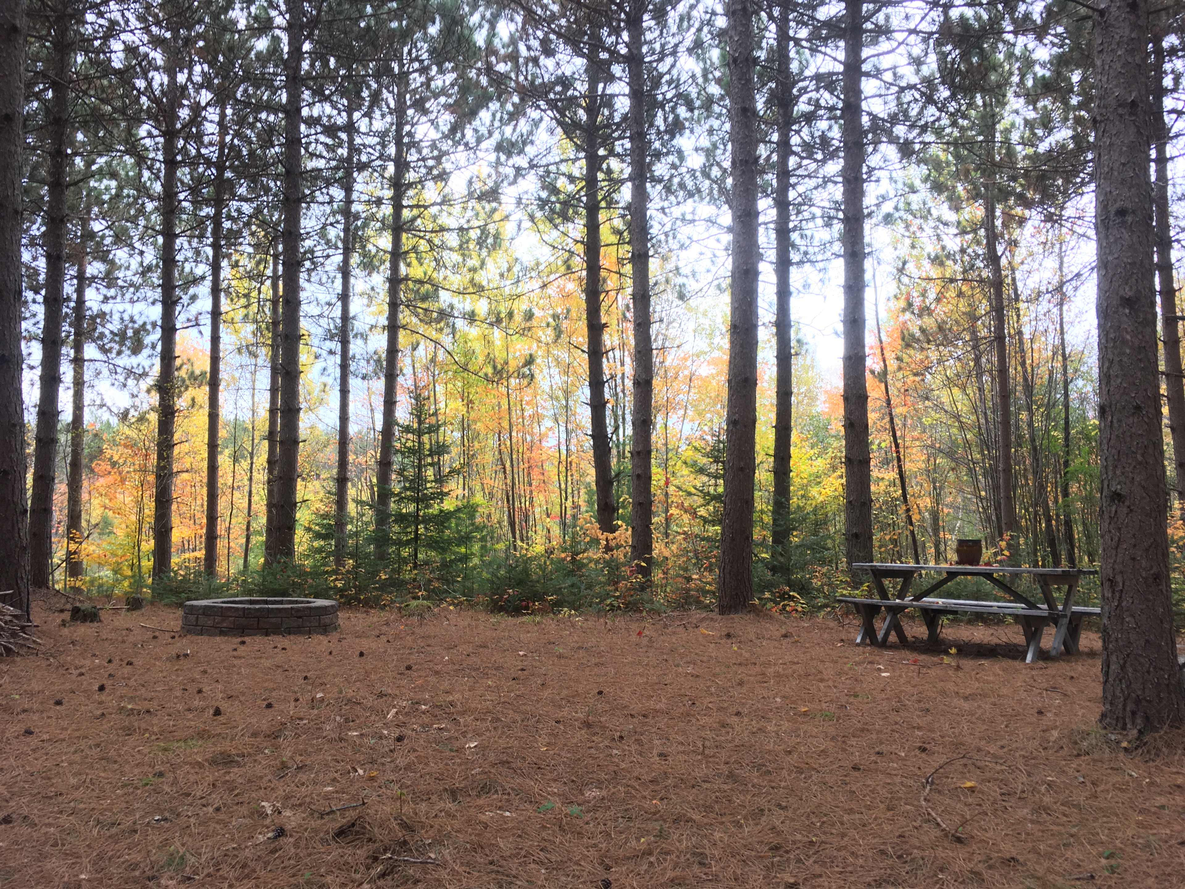 Camp area
