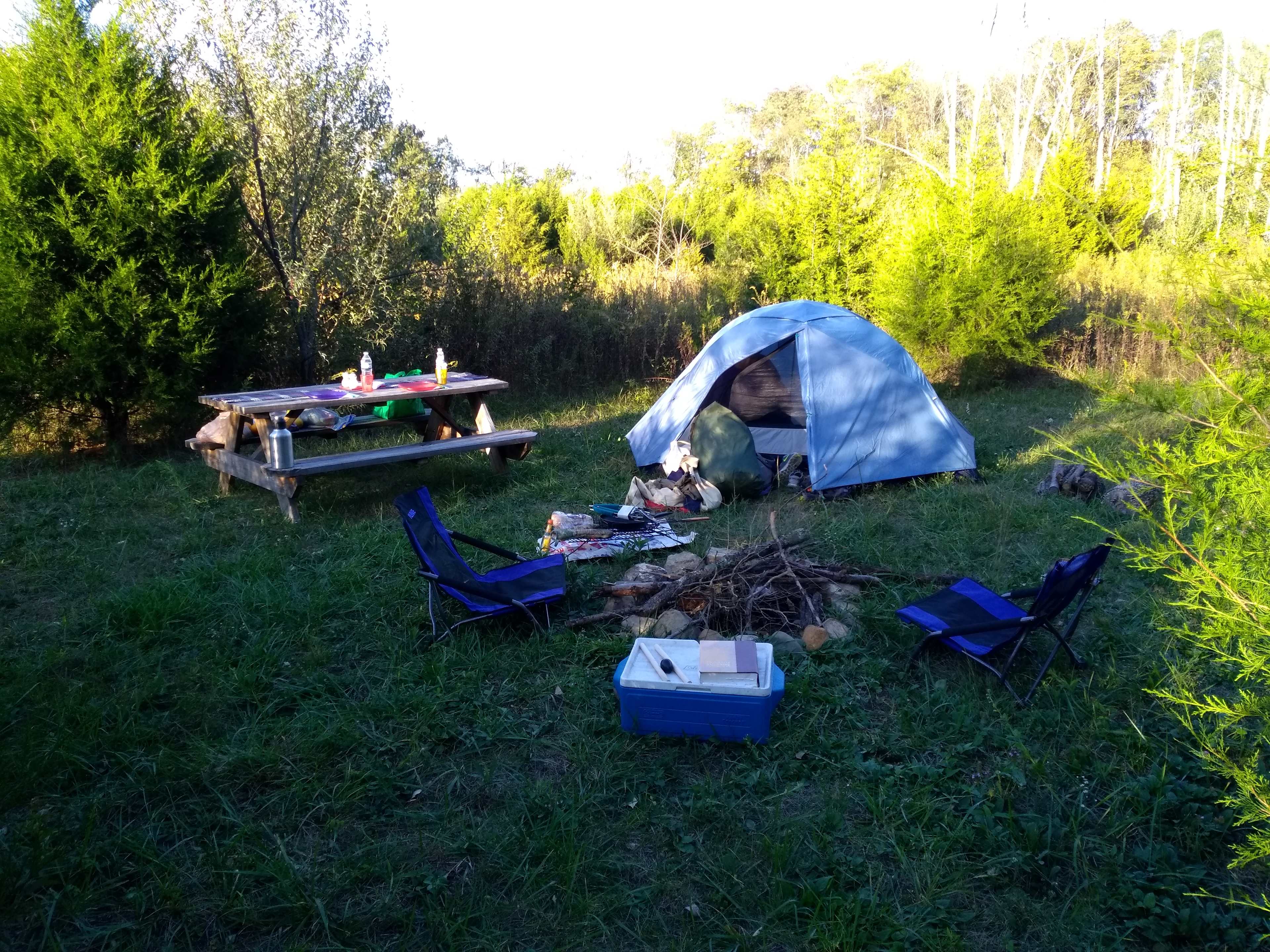 Site 4 is the farthest from the road and is "open-air" so you can see the night's sky