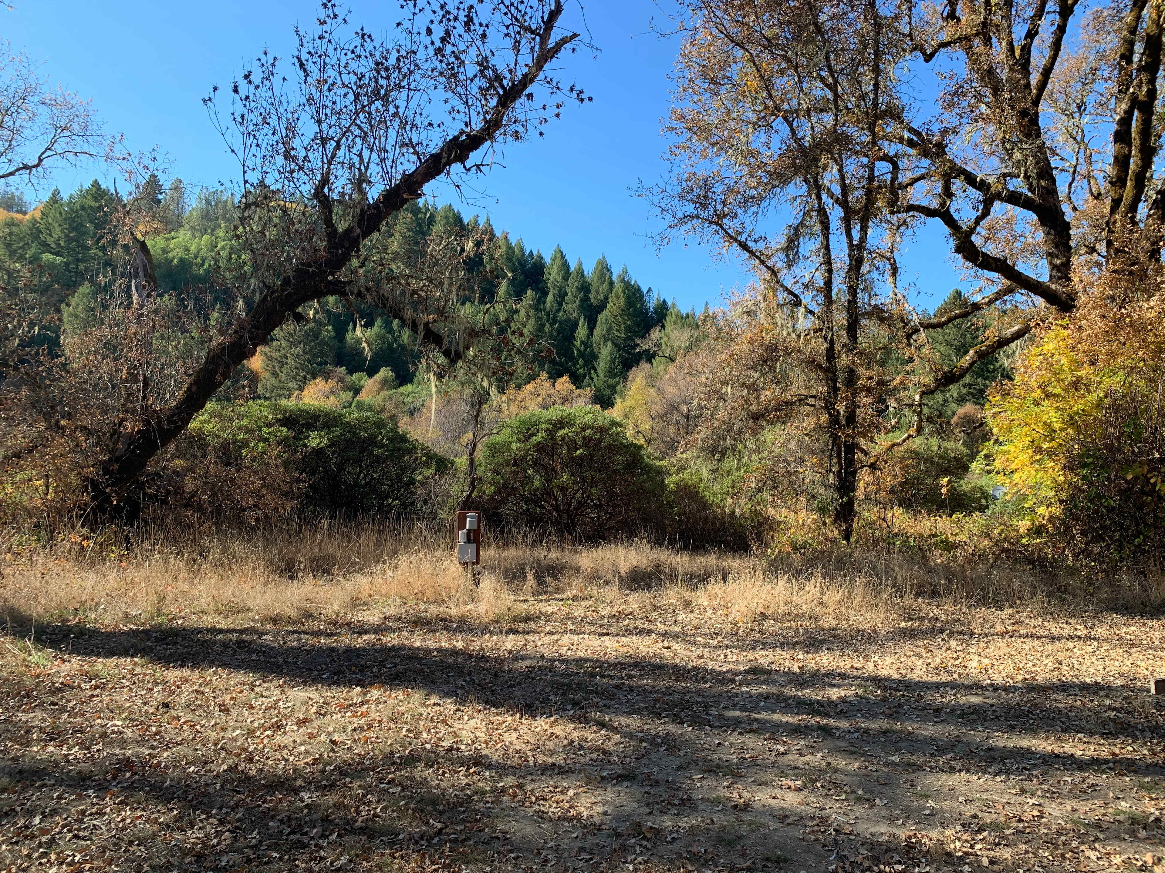 Nature spot camp