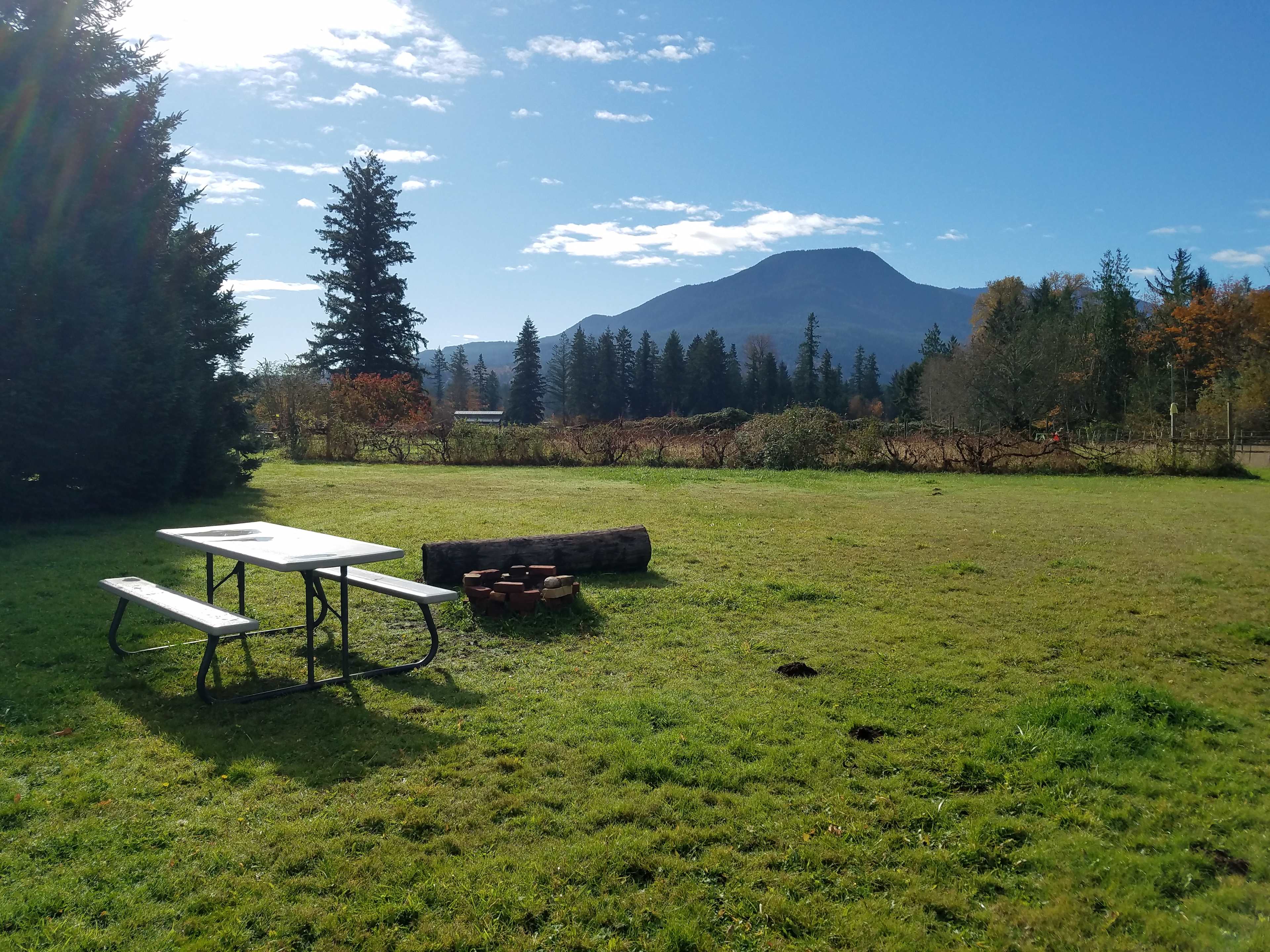 This is the meadow campsite. You can park your car or RV here.
Large grassy field that overlooks Mt Walker, grape vines and the Olympics Mountains.
