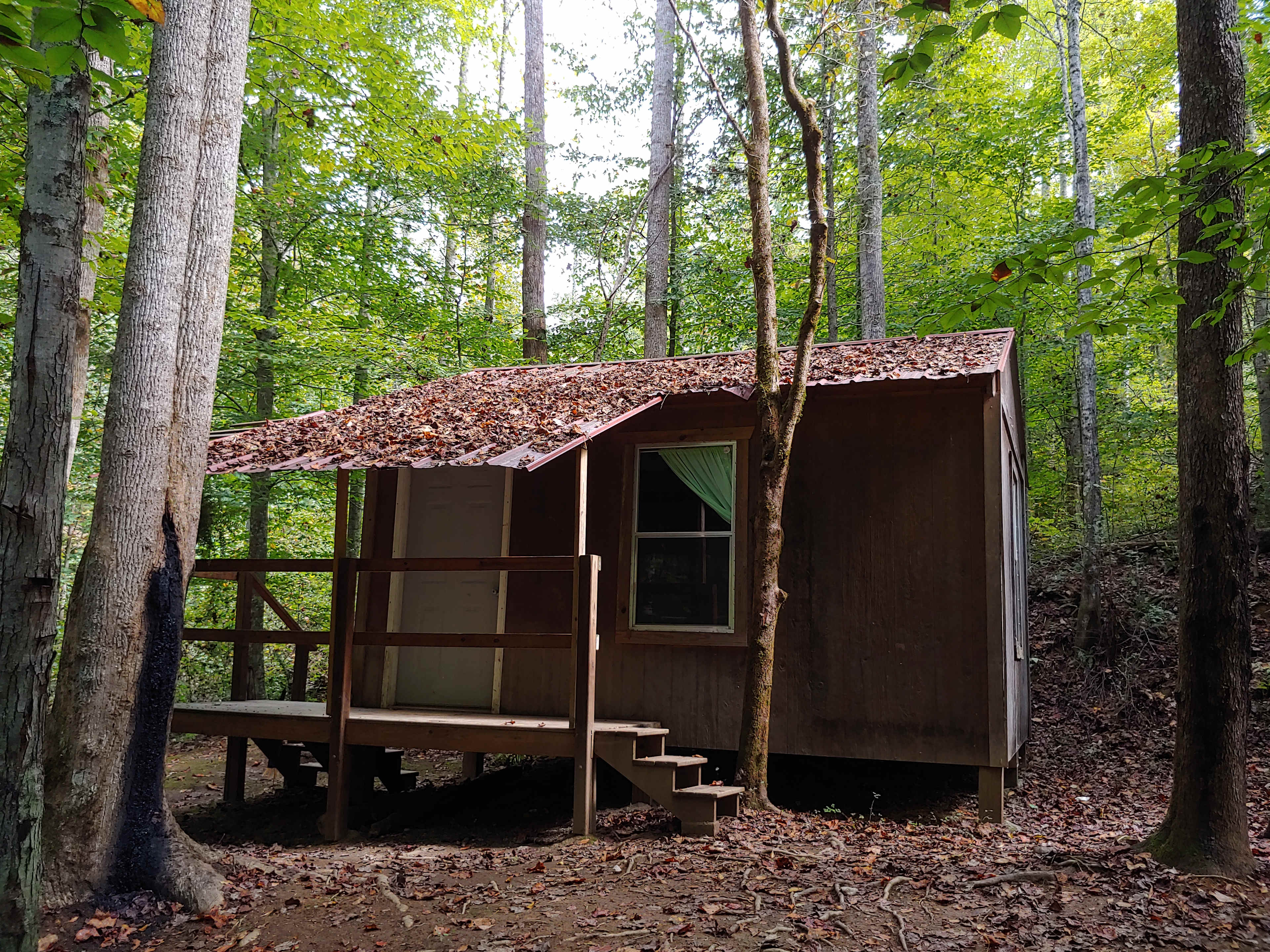Momma Bear Cabin