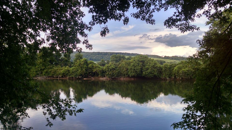 View of the Unadilla River from Tall Pines Campsite