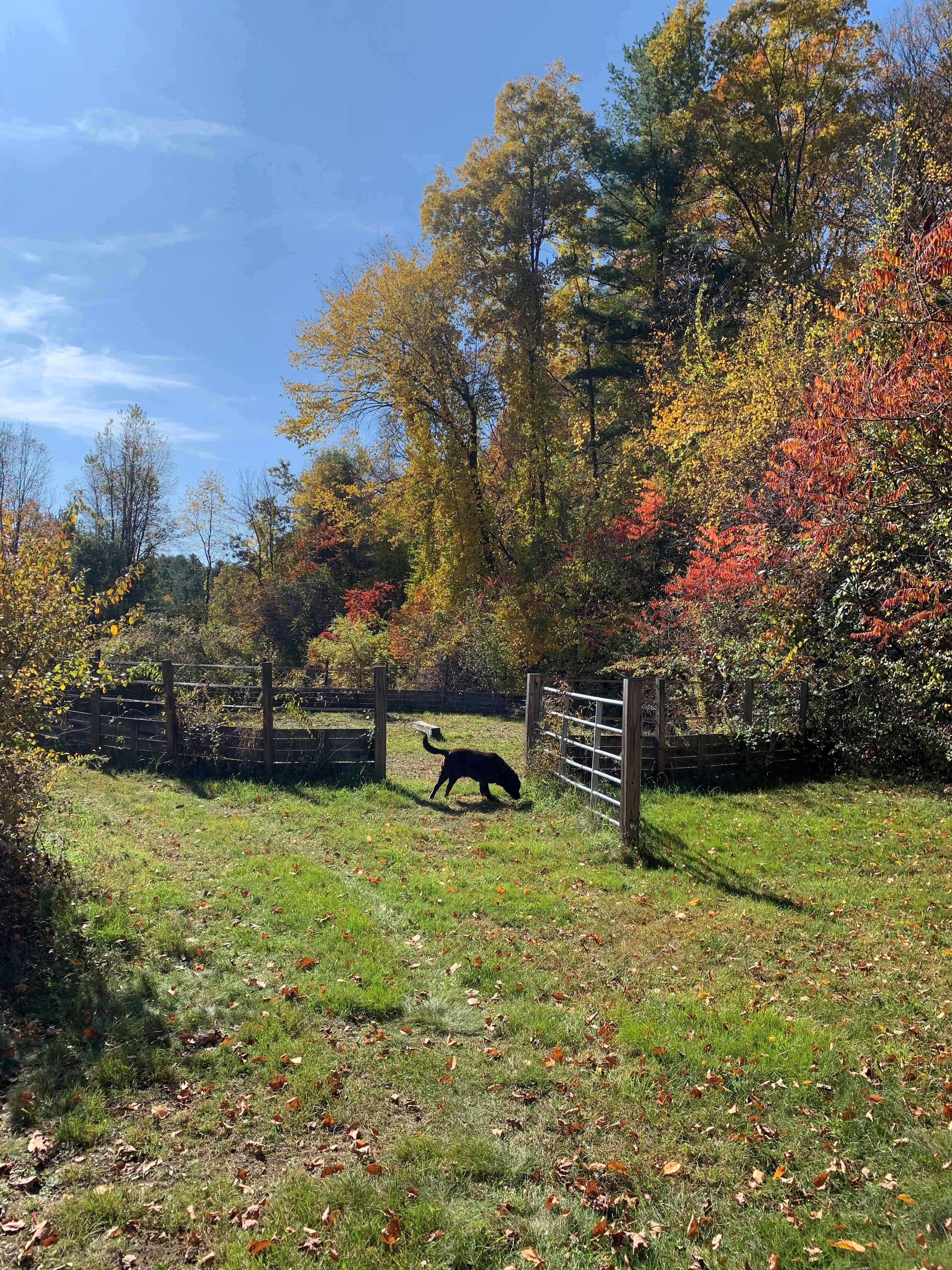 Around the farm