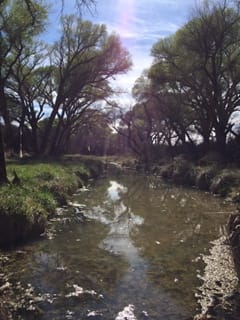 This is the Babocomari river.