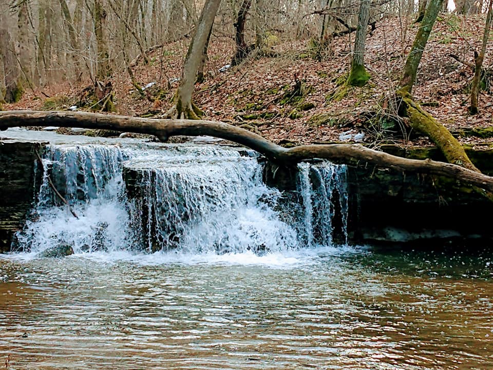 Waterfall in the adjacent park is a 500 foot walk down the trail.