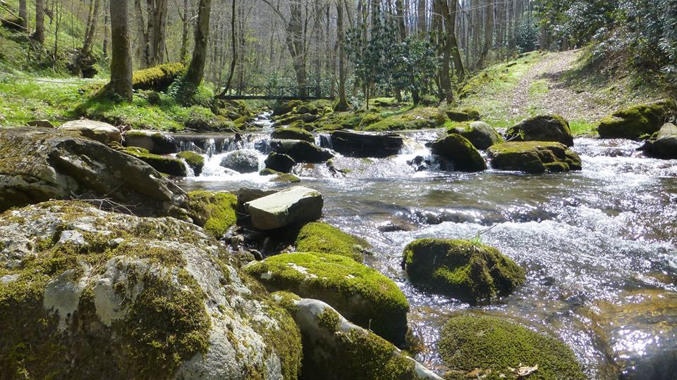 Indigo Eagle Sanctuary