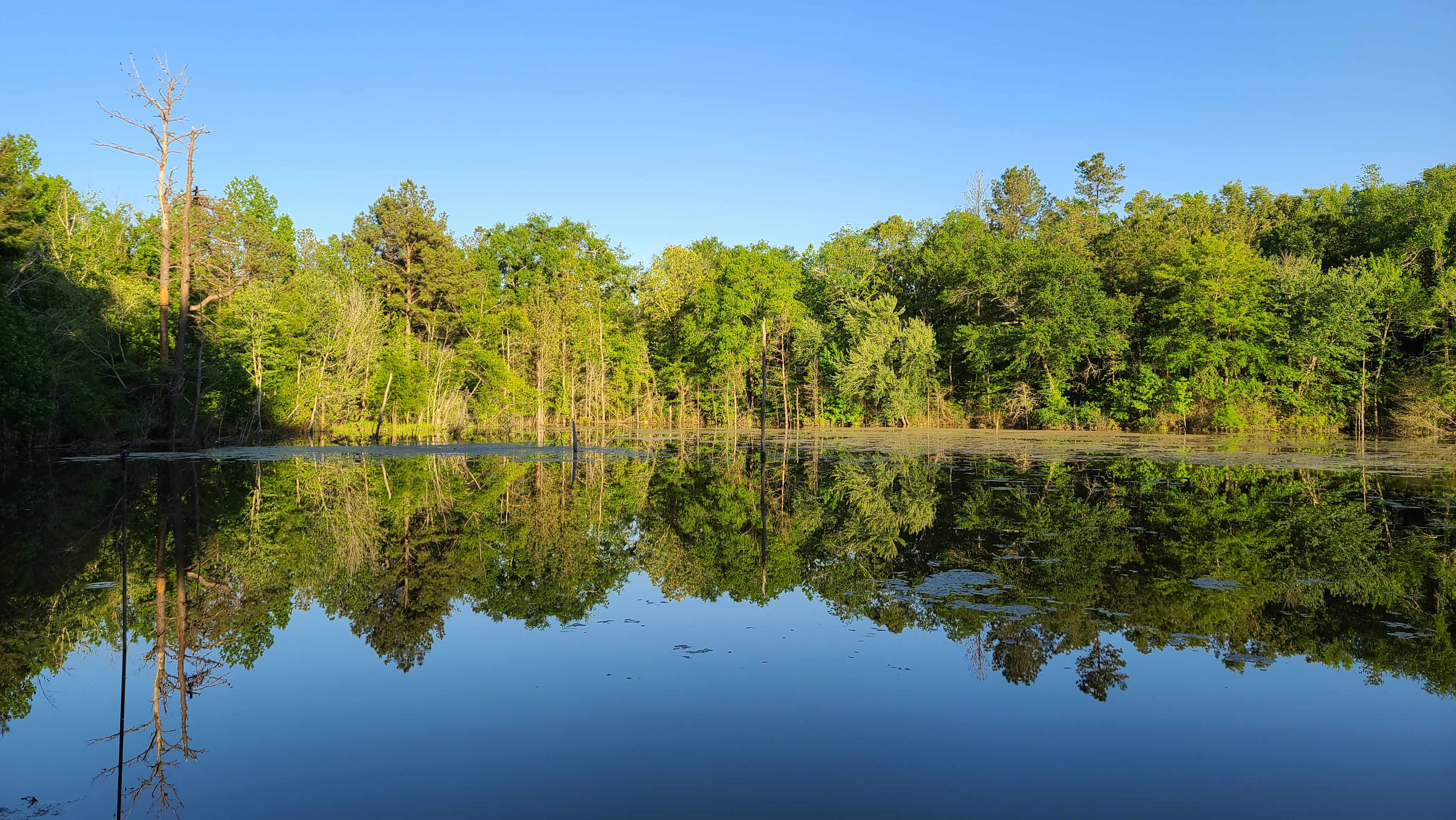 The view at late afternoon is the best!  The water goes black and is so reflective.