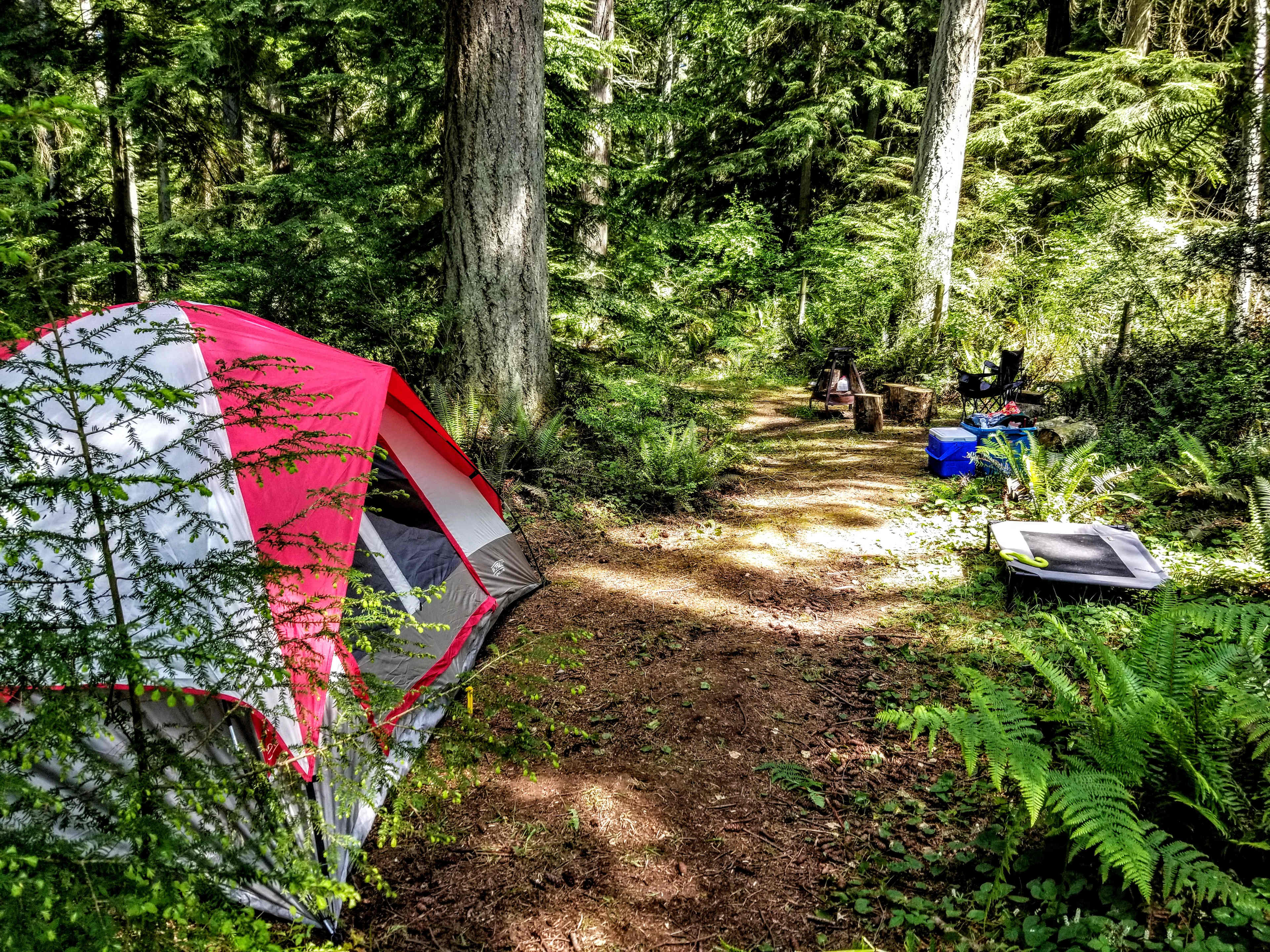 Fern Gully Camp