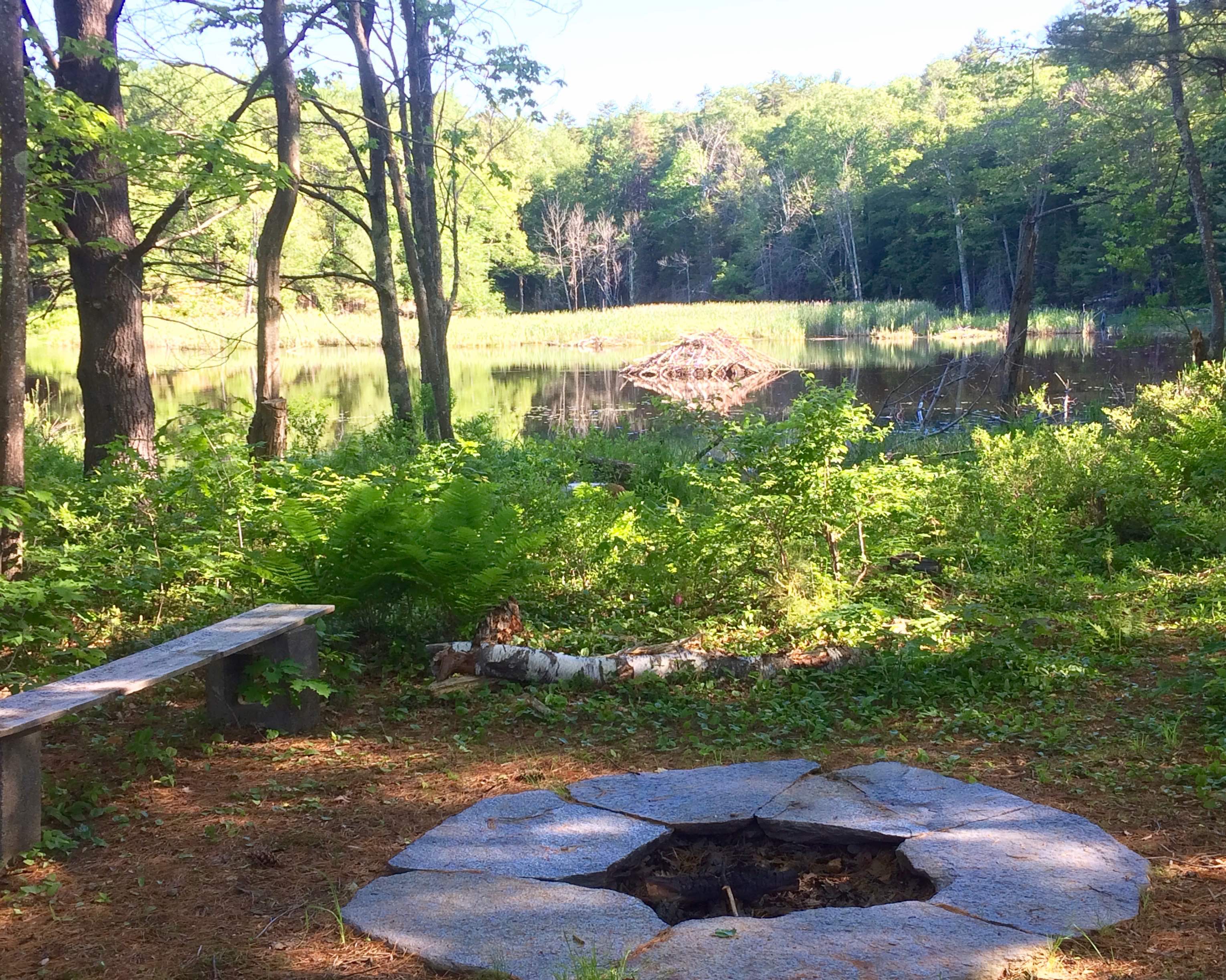 This is your campsite! Gorgeous stone fire pit by the pond.