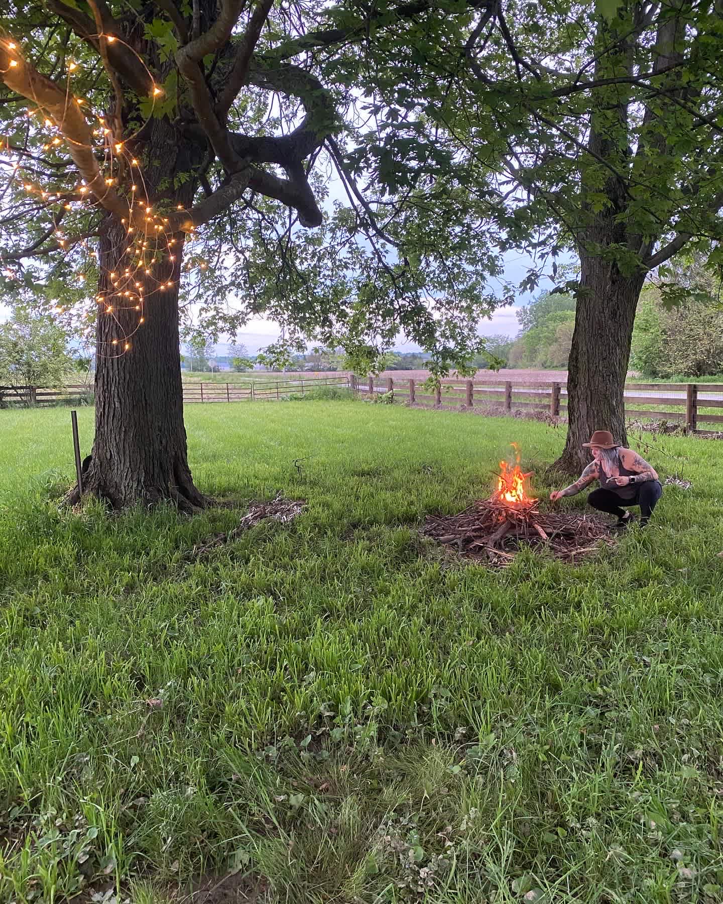 Camping with Unruly Goats