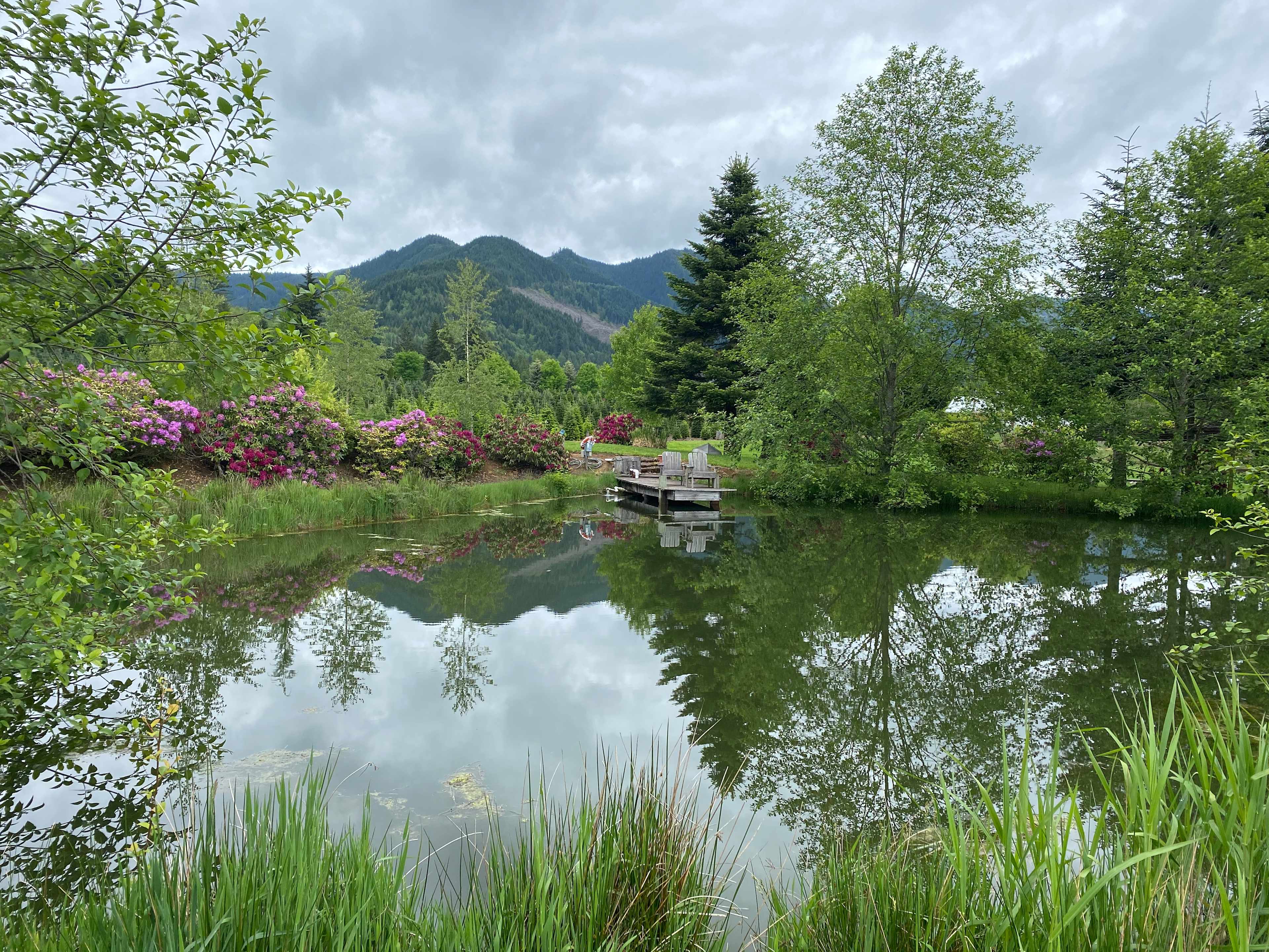 The Arboretum at Bear Canyon West