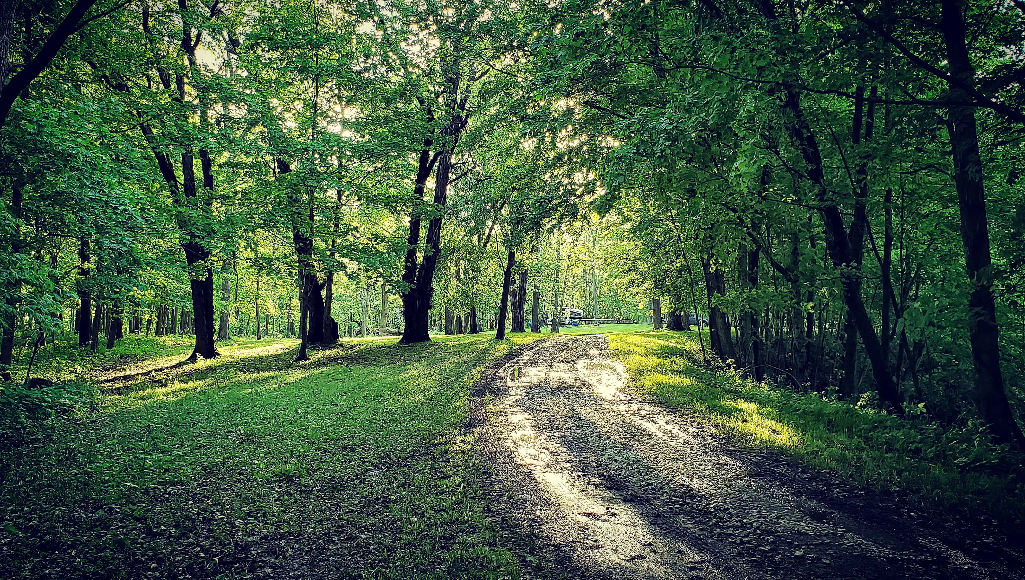 Road to the campsite 