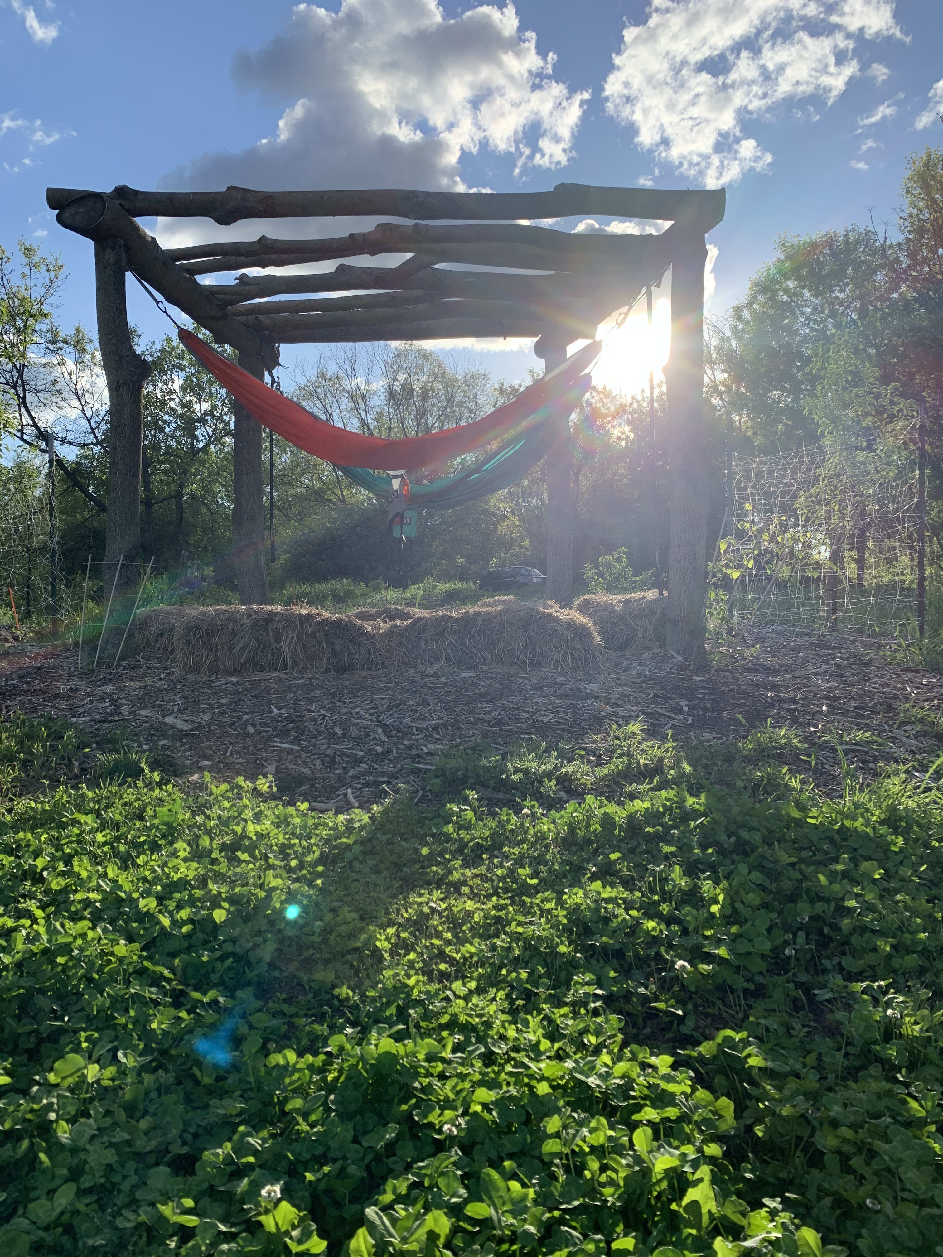 The hammocks were so nice to catch a breeze in and the sunset was beautiful.