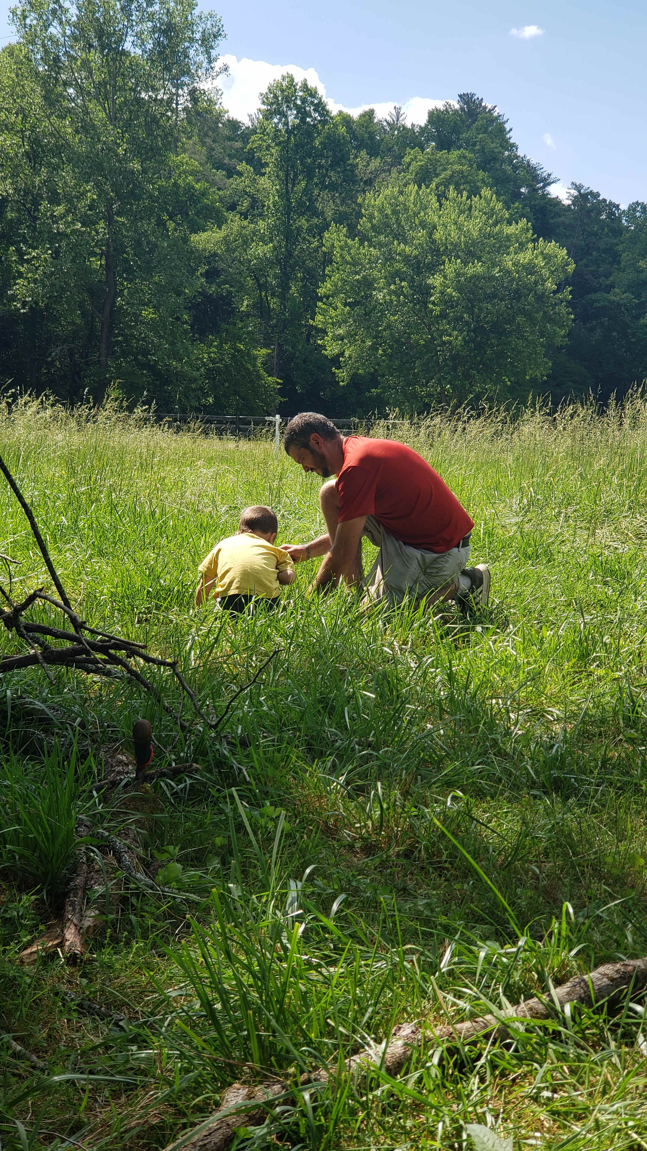 White Dog Farm camping