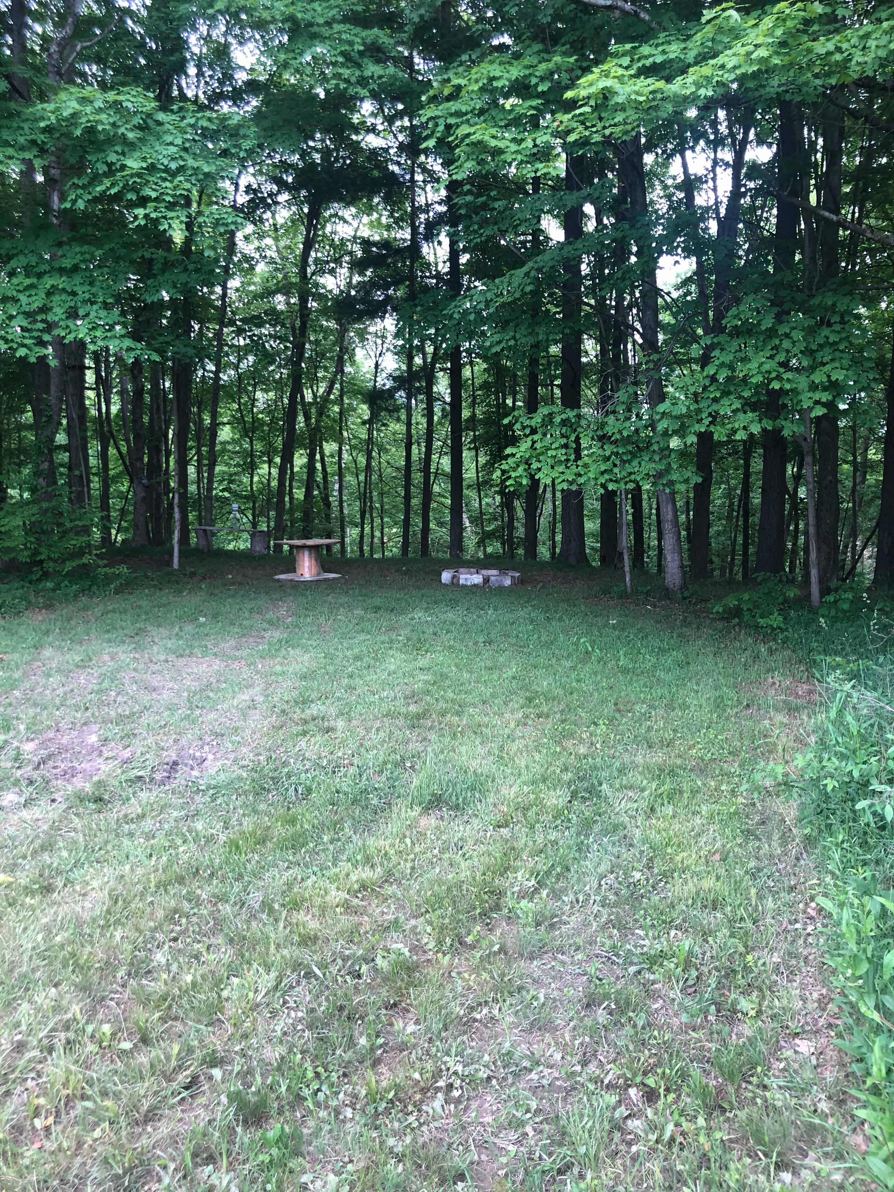 View of campsite with table and fire ring.