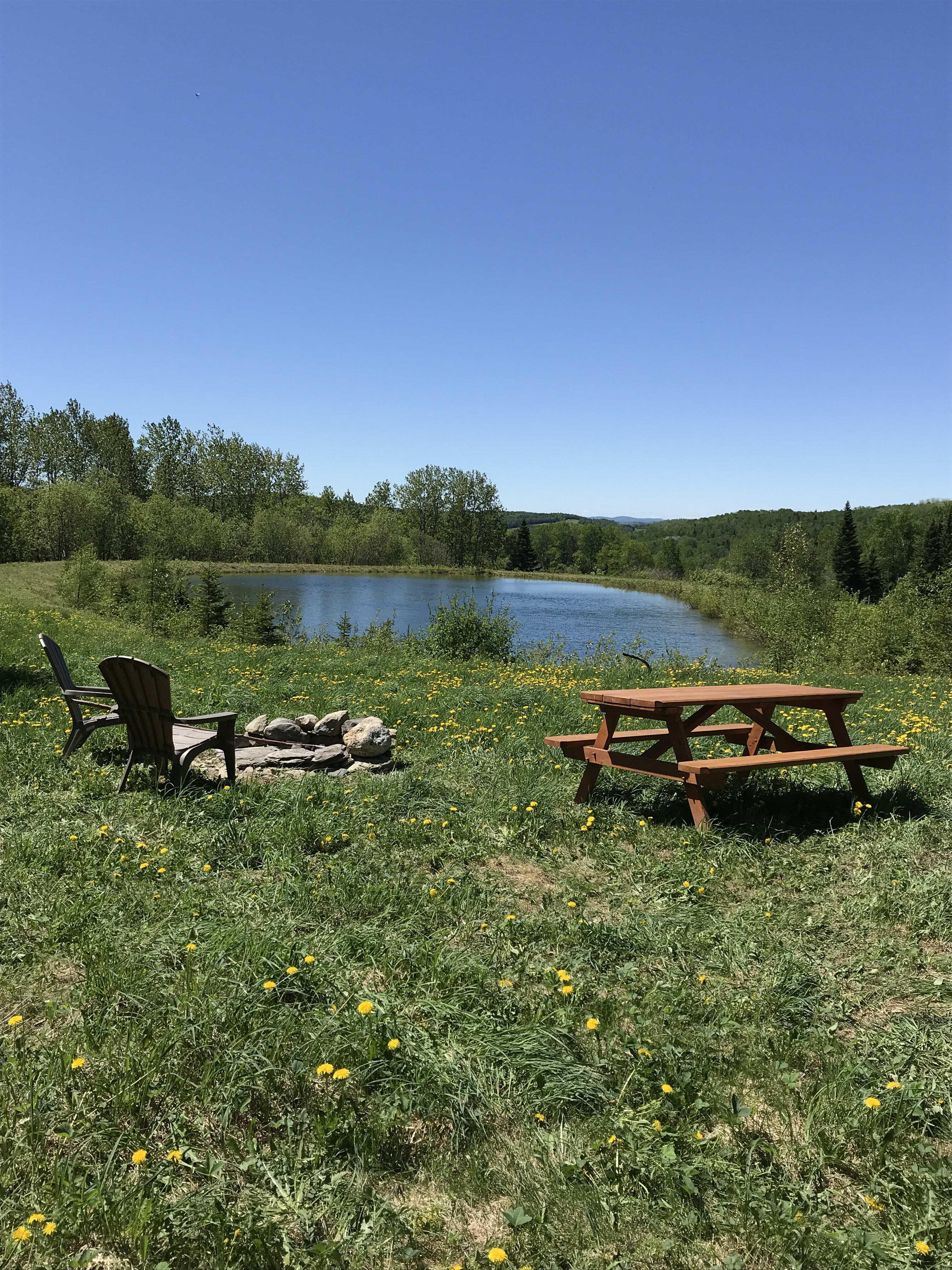 Spring pond campsite offers all the amenities for a fine camping experience complete with picnic table, fire pit and lounge chairs.