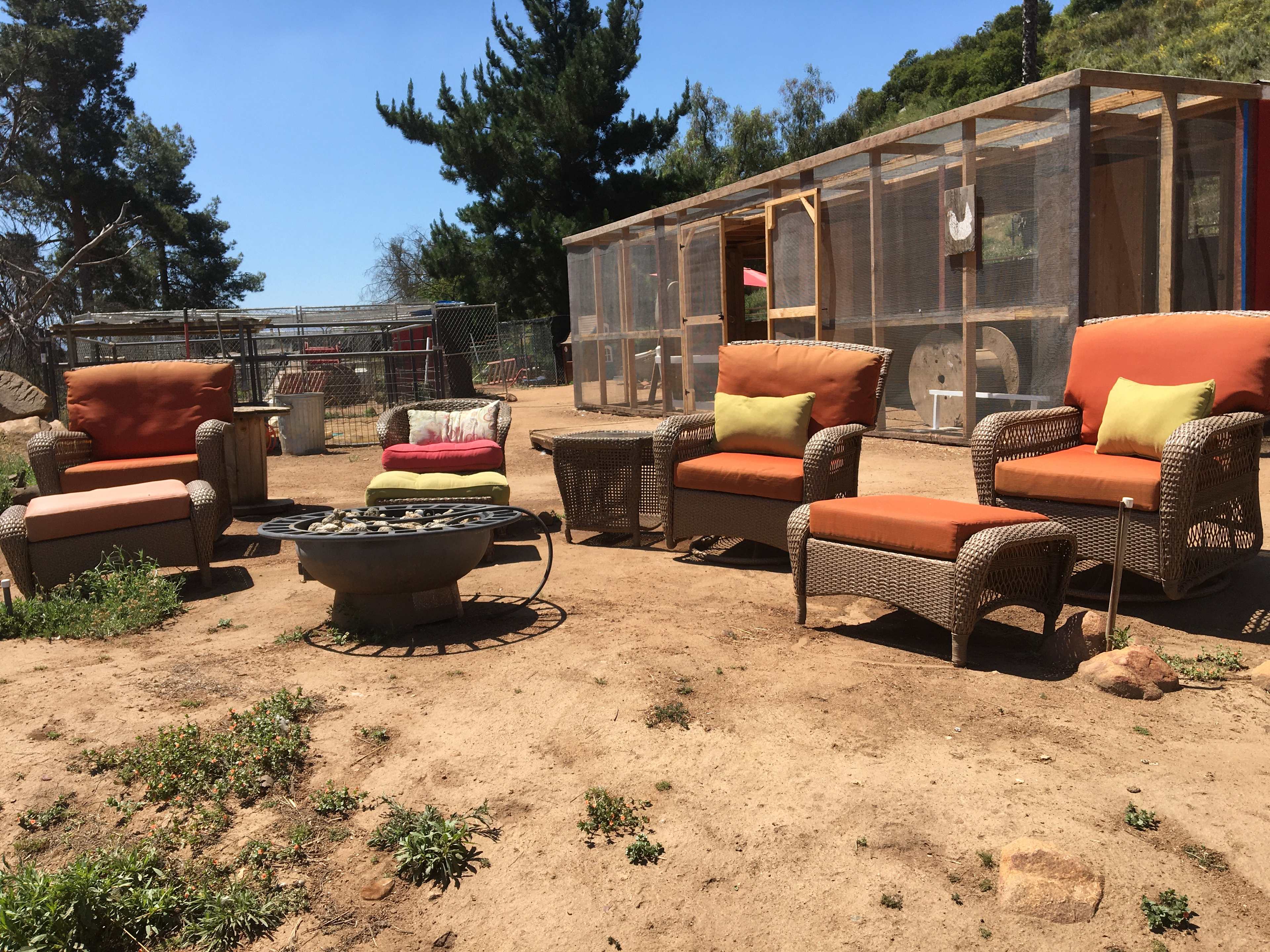 2 The Rescue Animal Sanctuary