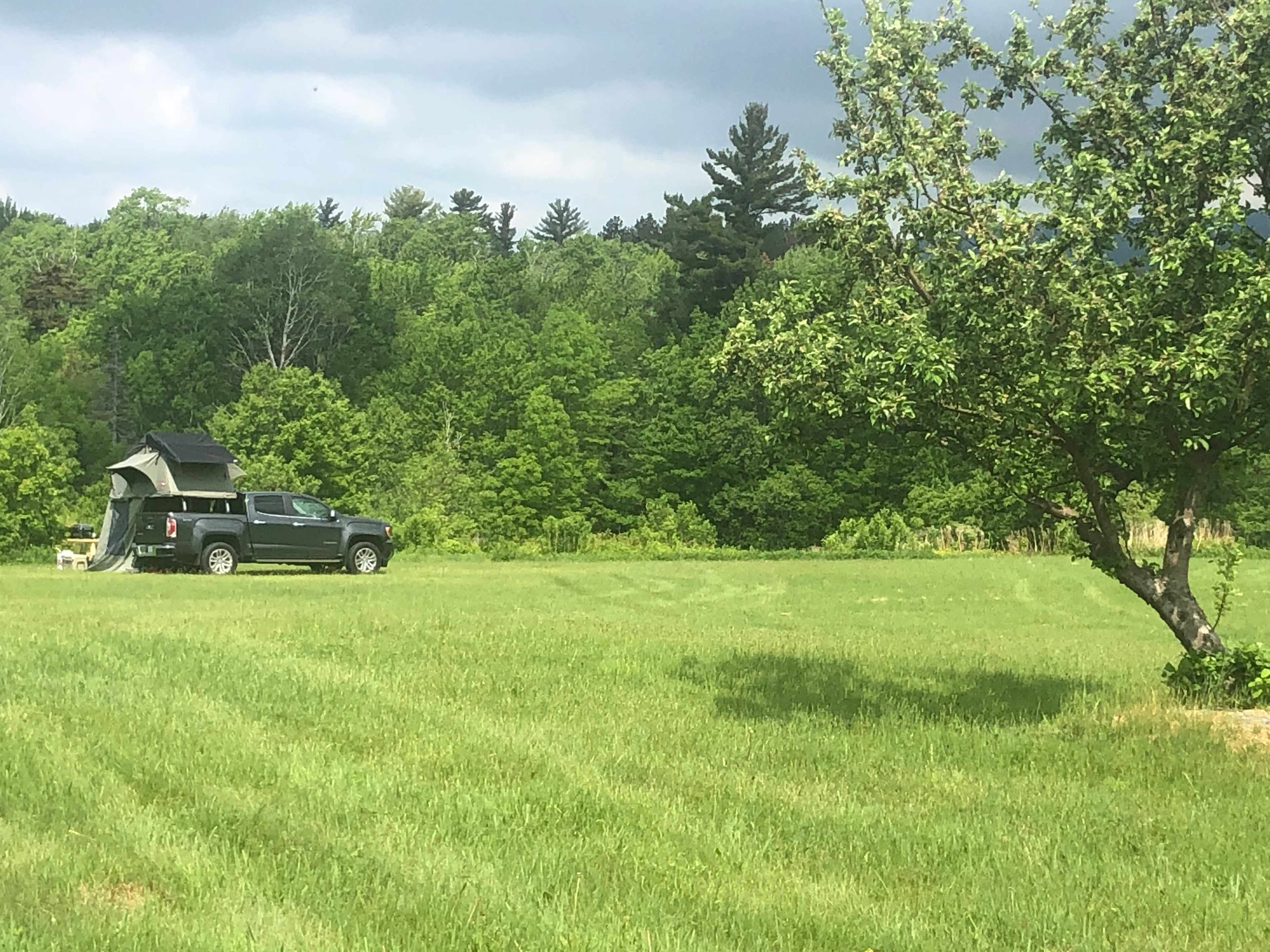 BlueberryHill  Field Camp