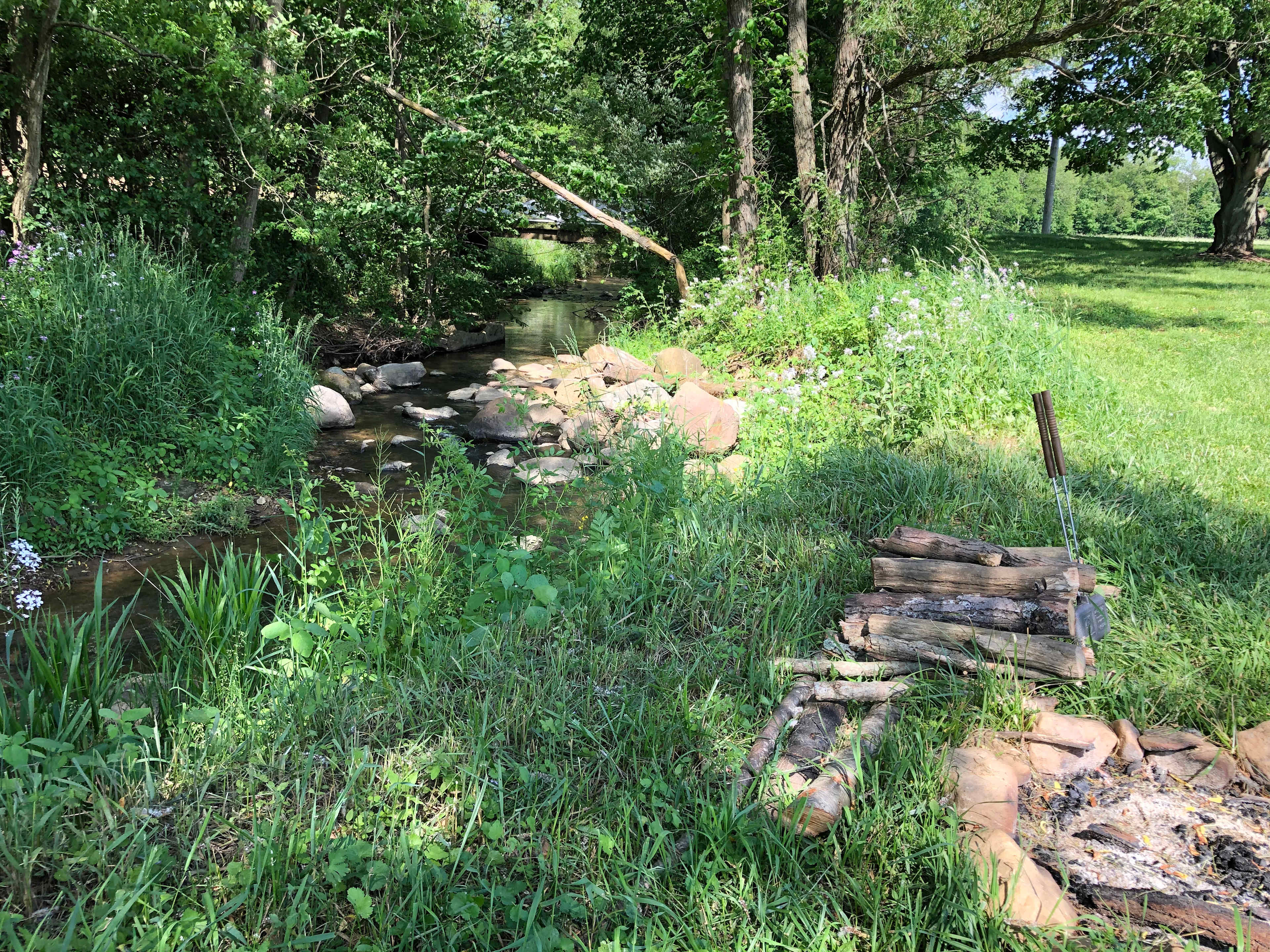 Our fire ring next to the creek