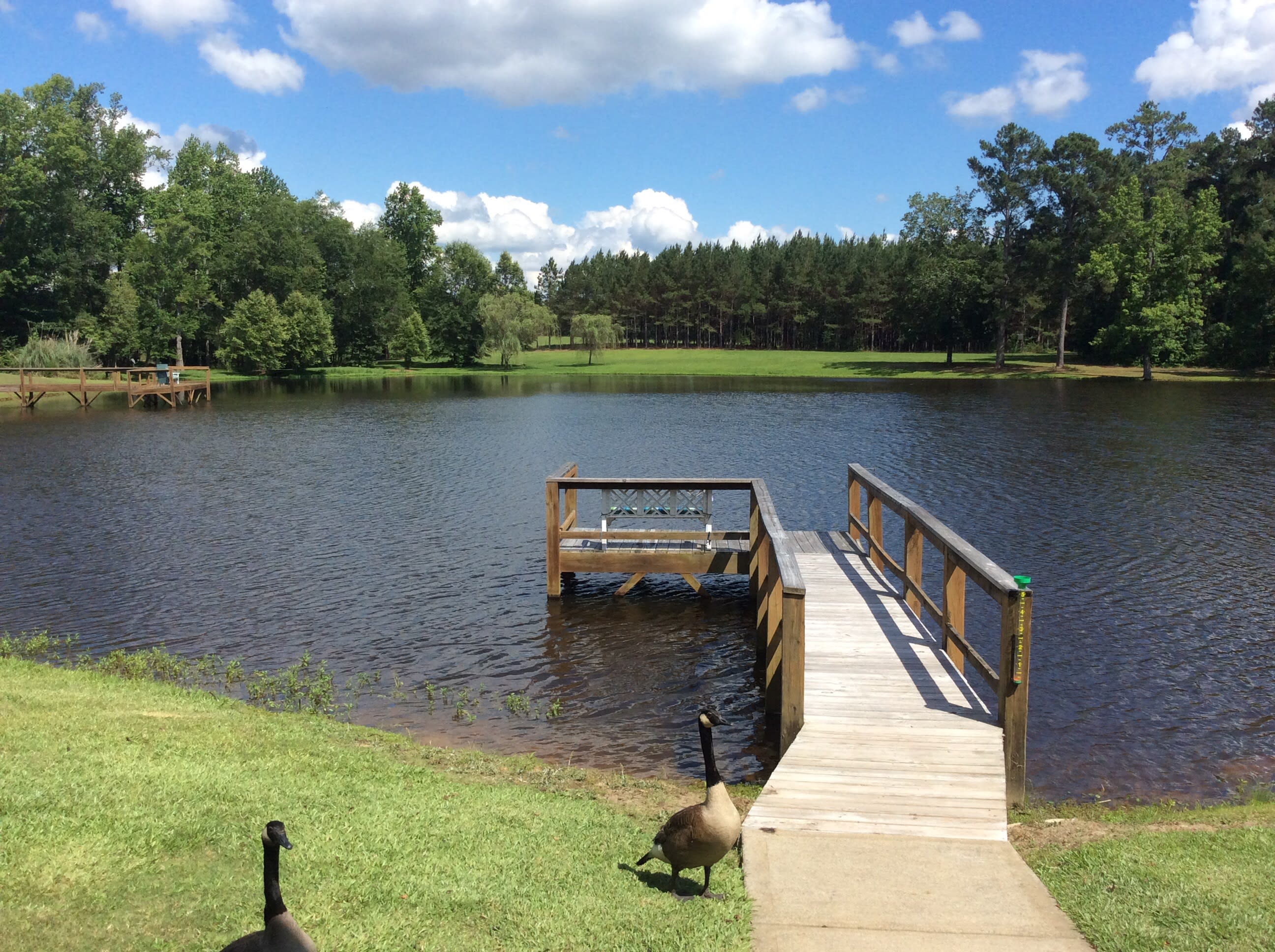 Picture of fishing pond