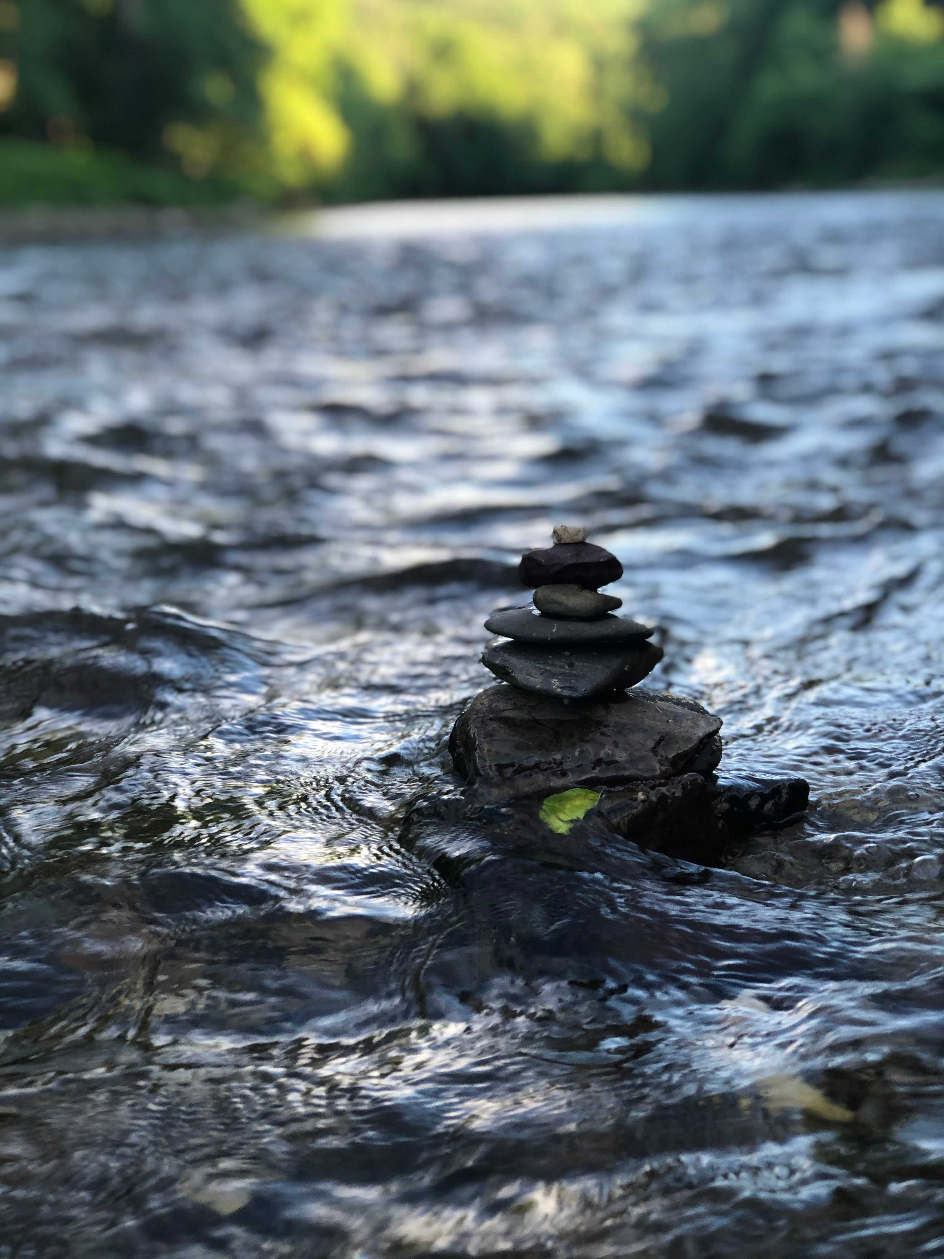 Apartment on the Battenkill River