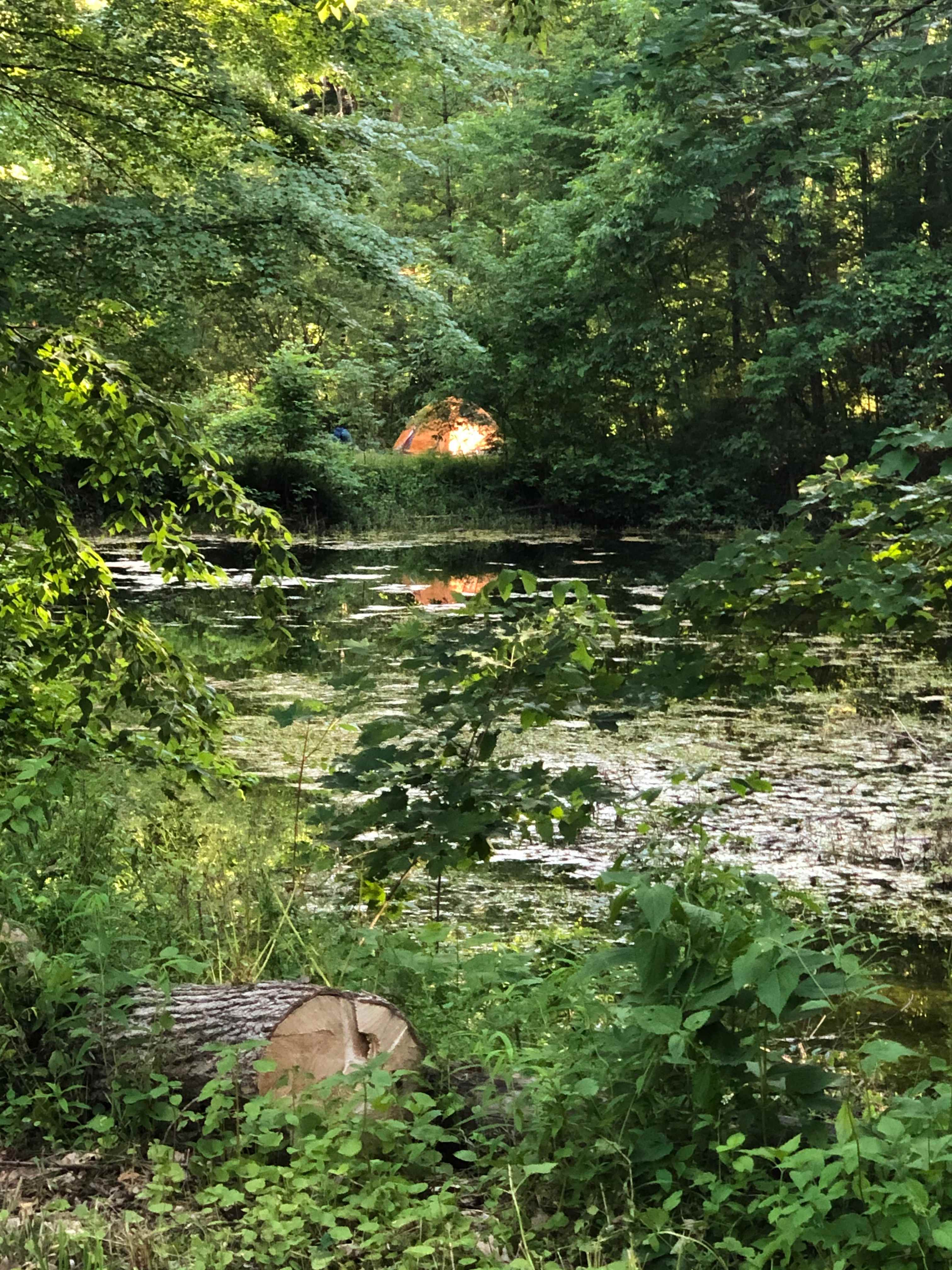 Moon In The Pond Farm