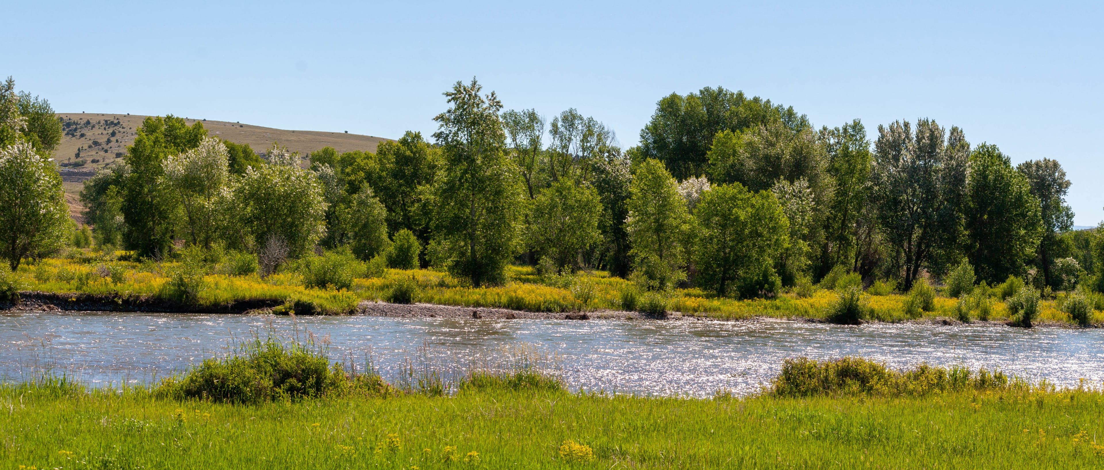 Gallatin River from Campsite