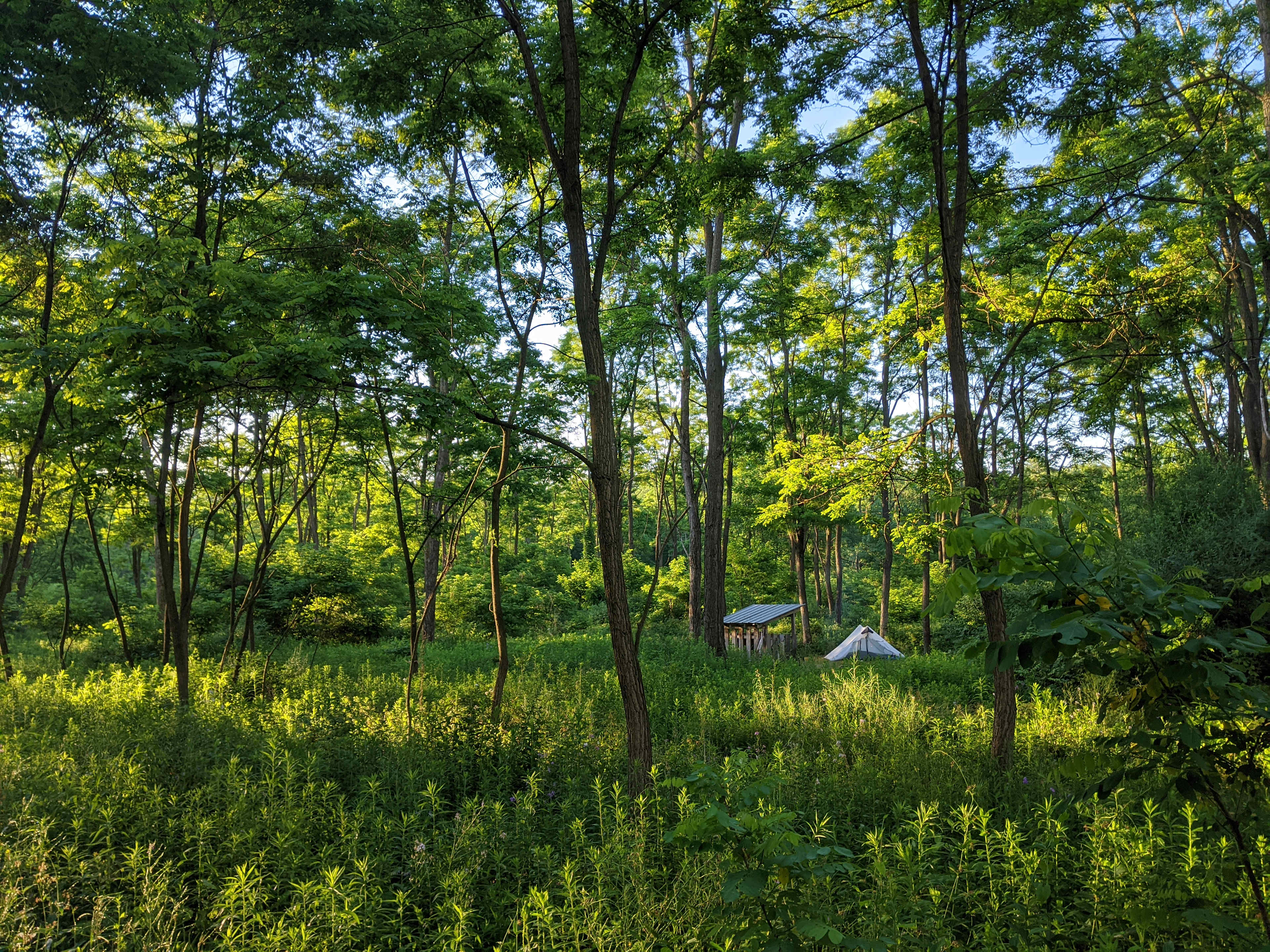 Hawk Meadow Farm