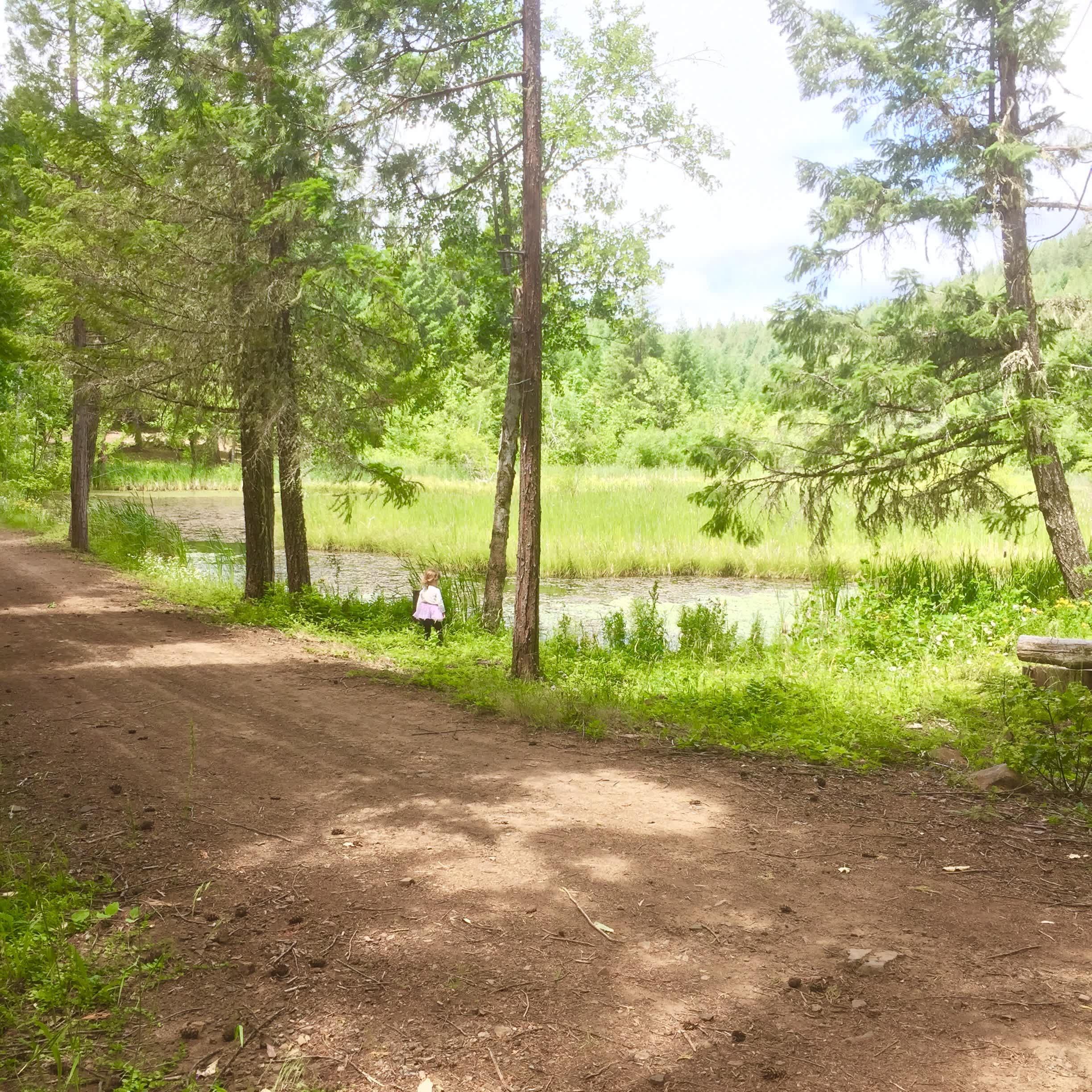 Walk along this path and hear the eeps of the frogs jumping with each step.. The perfect spot to view wildlife in Woodlands and Turtle Pond.