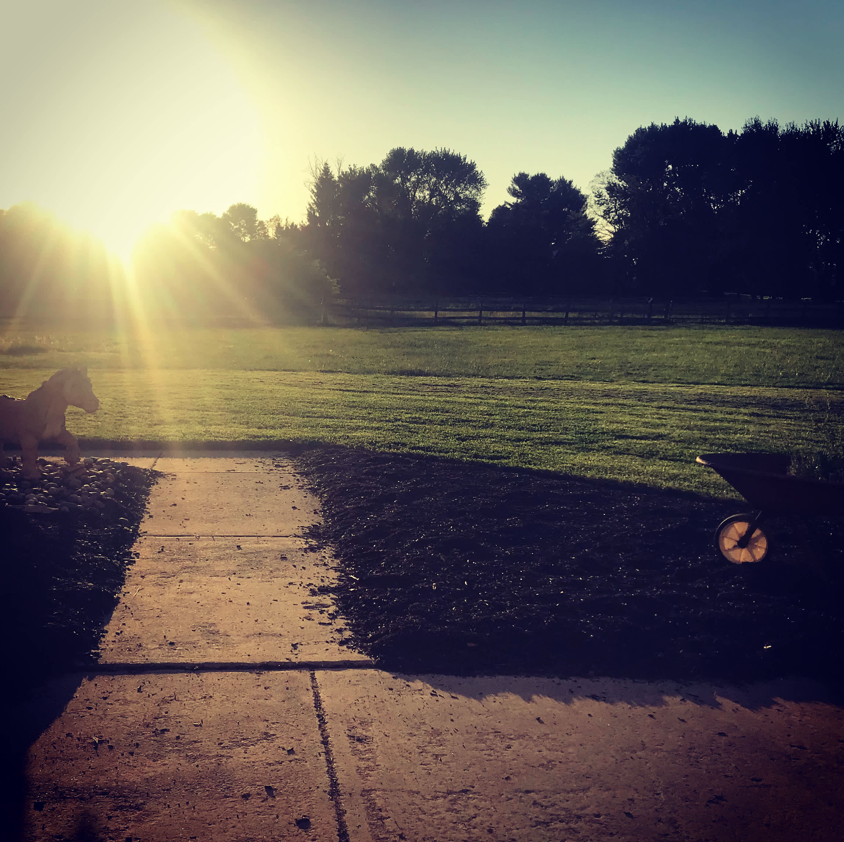 Picture of the site