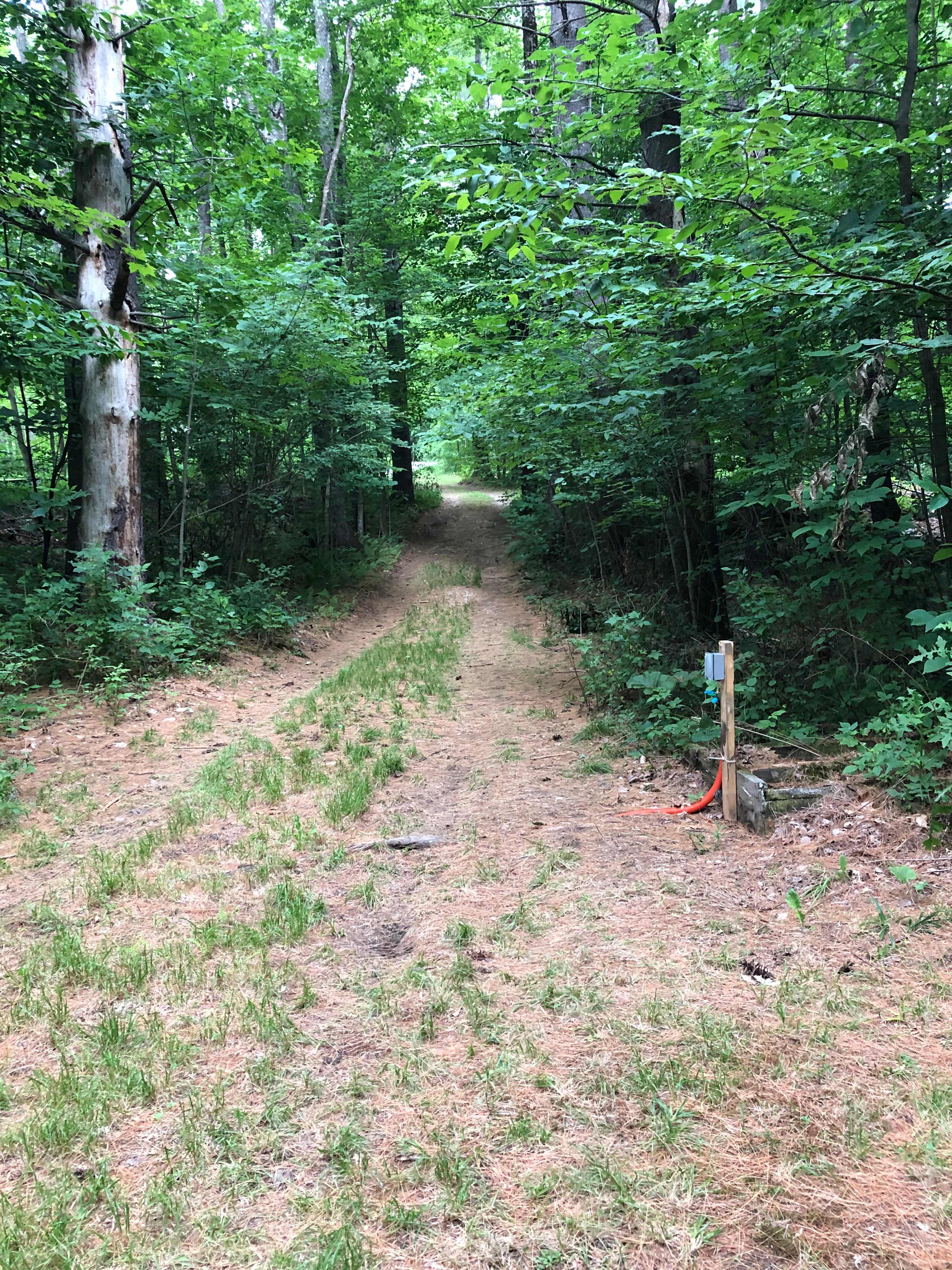 Looking up driveway from camp site