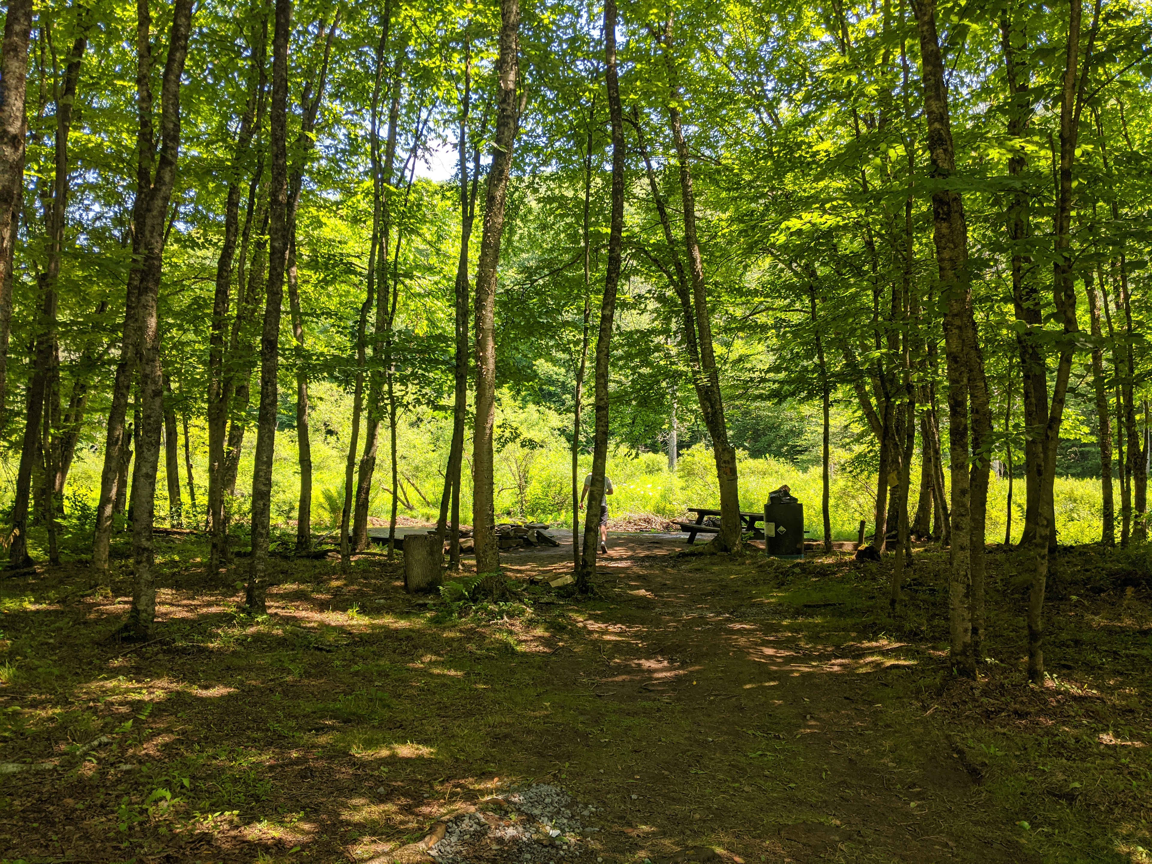 Hipcamp site 3