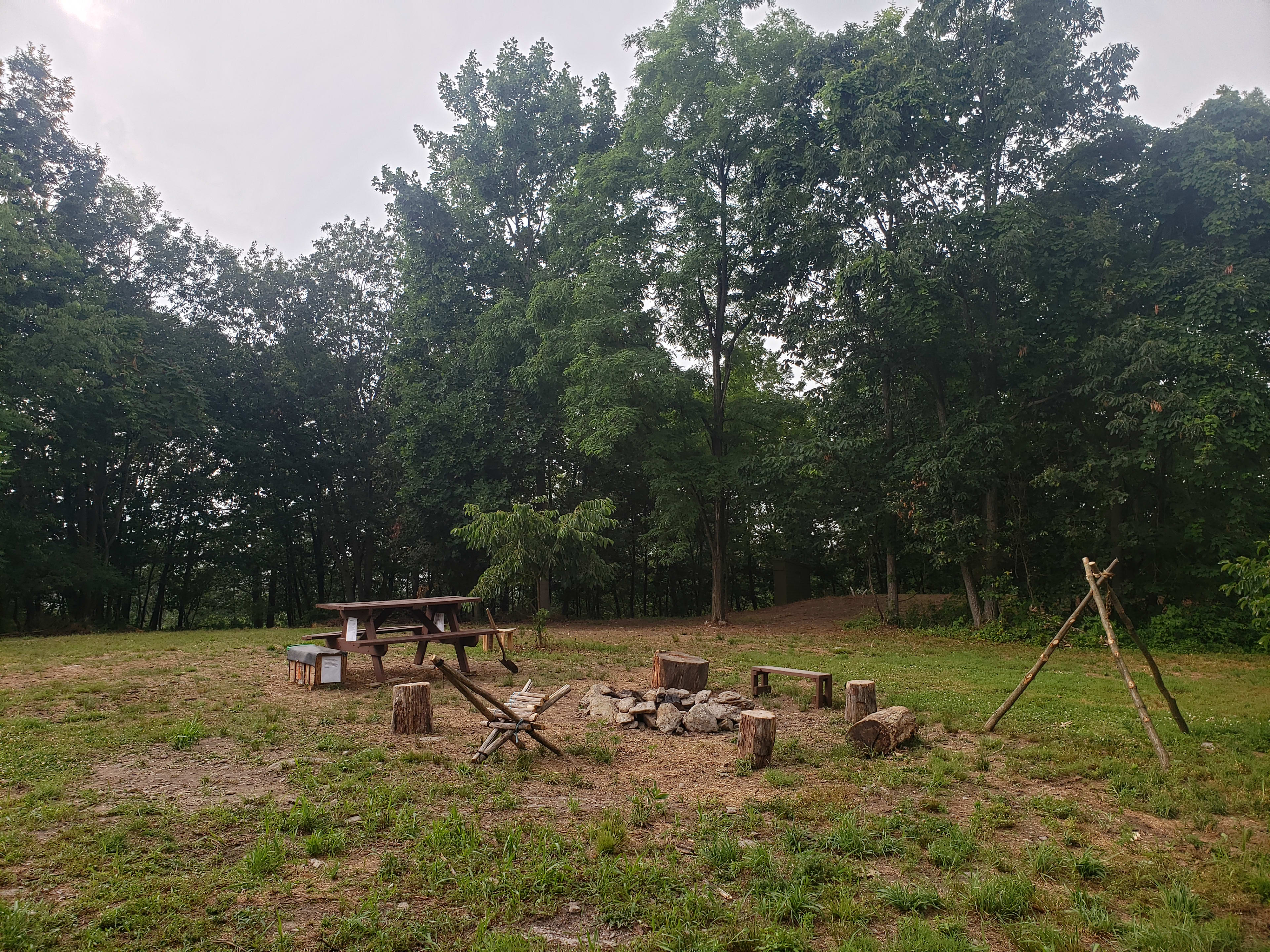 This is the main spot. Here is the fire pit, table, bench, seats. Off in the distance you can see the privy. The camp clearing is surrounded by forest which is all apart of the property.