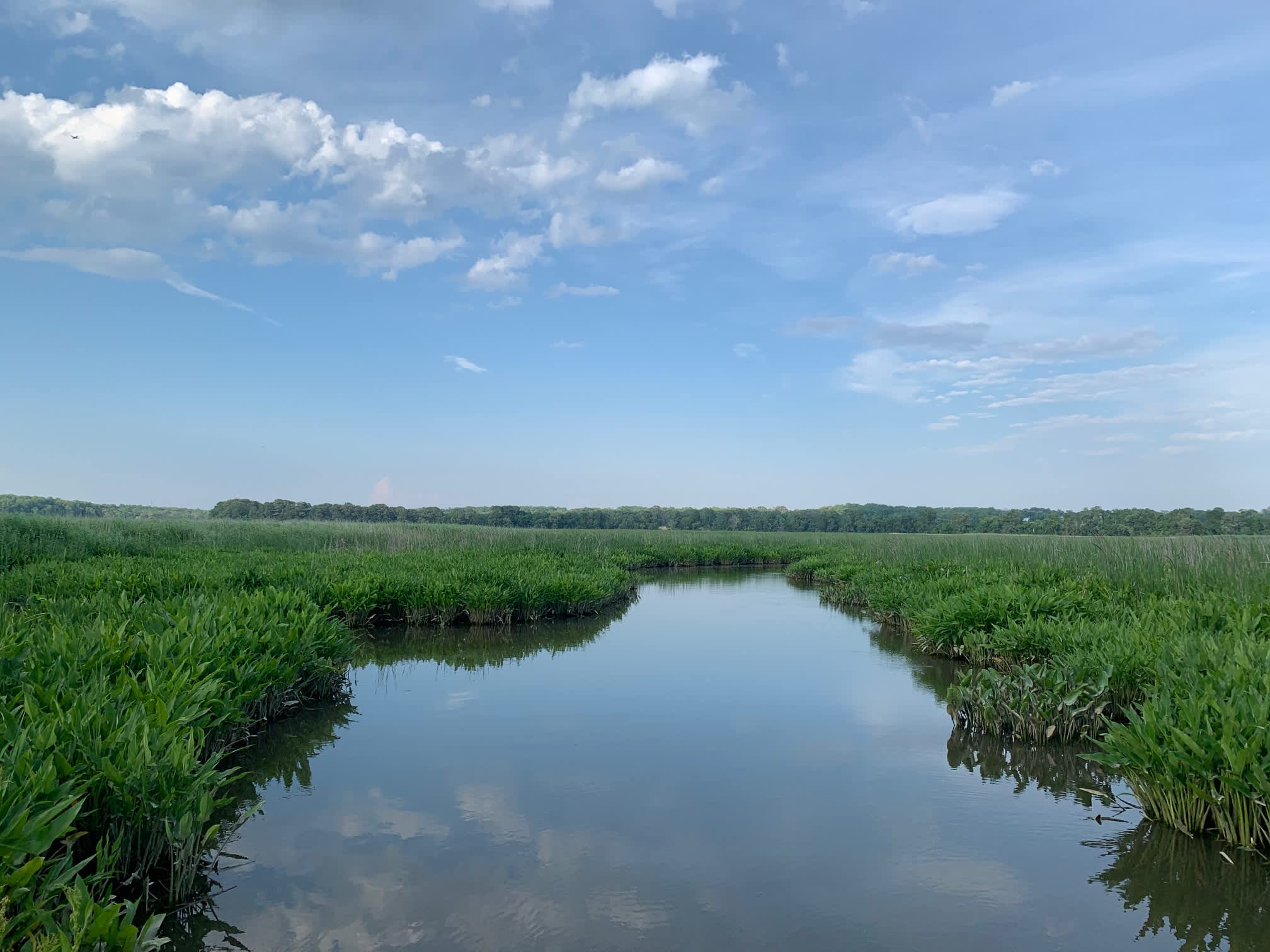 Creek View