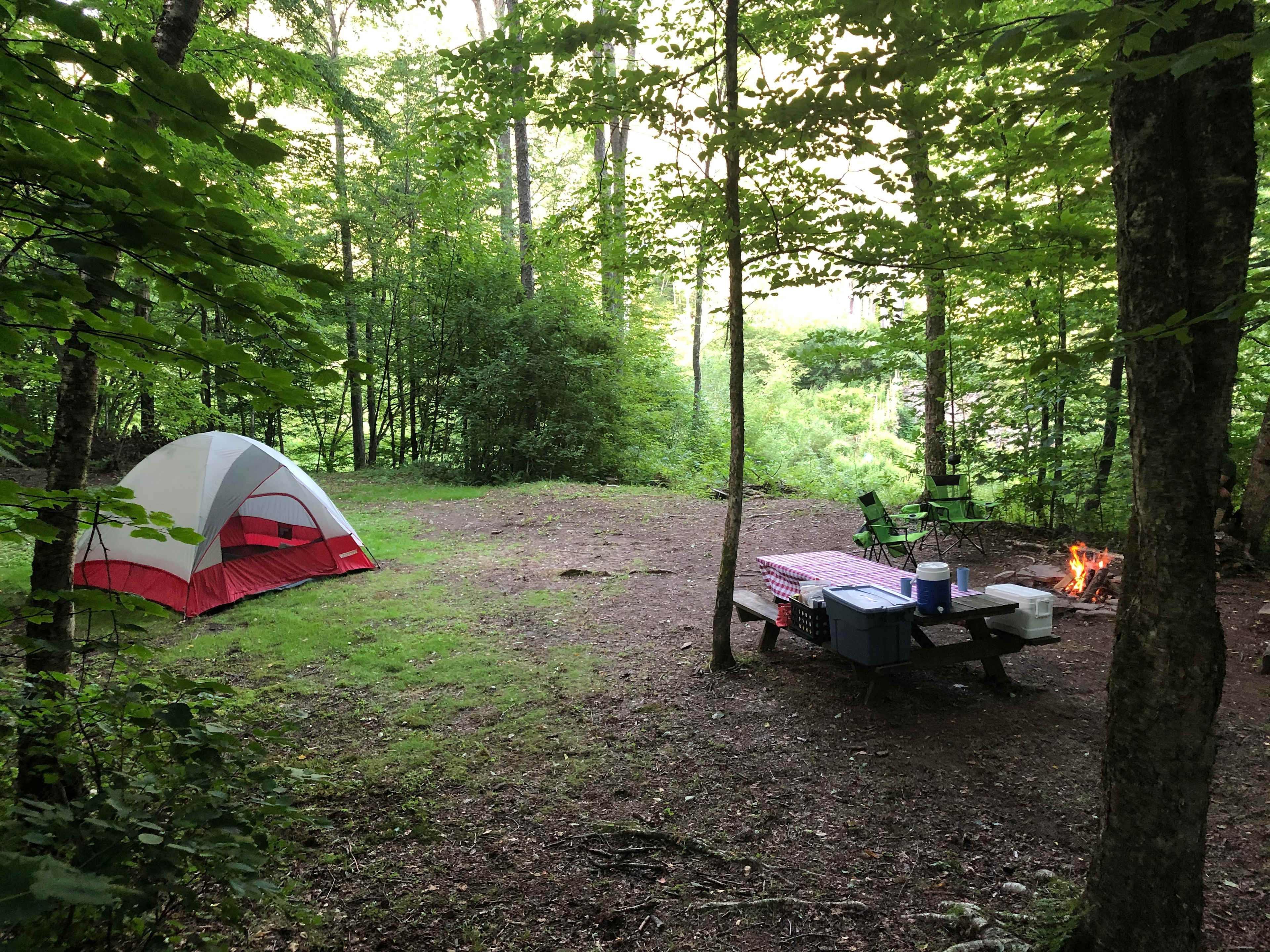 Site #4