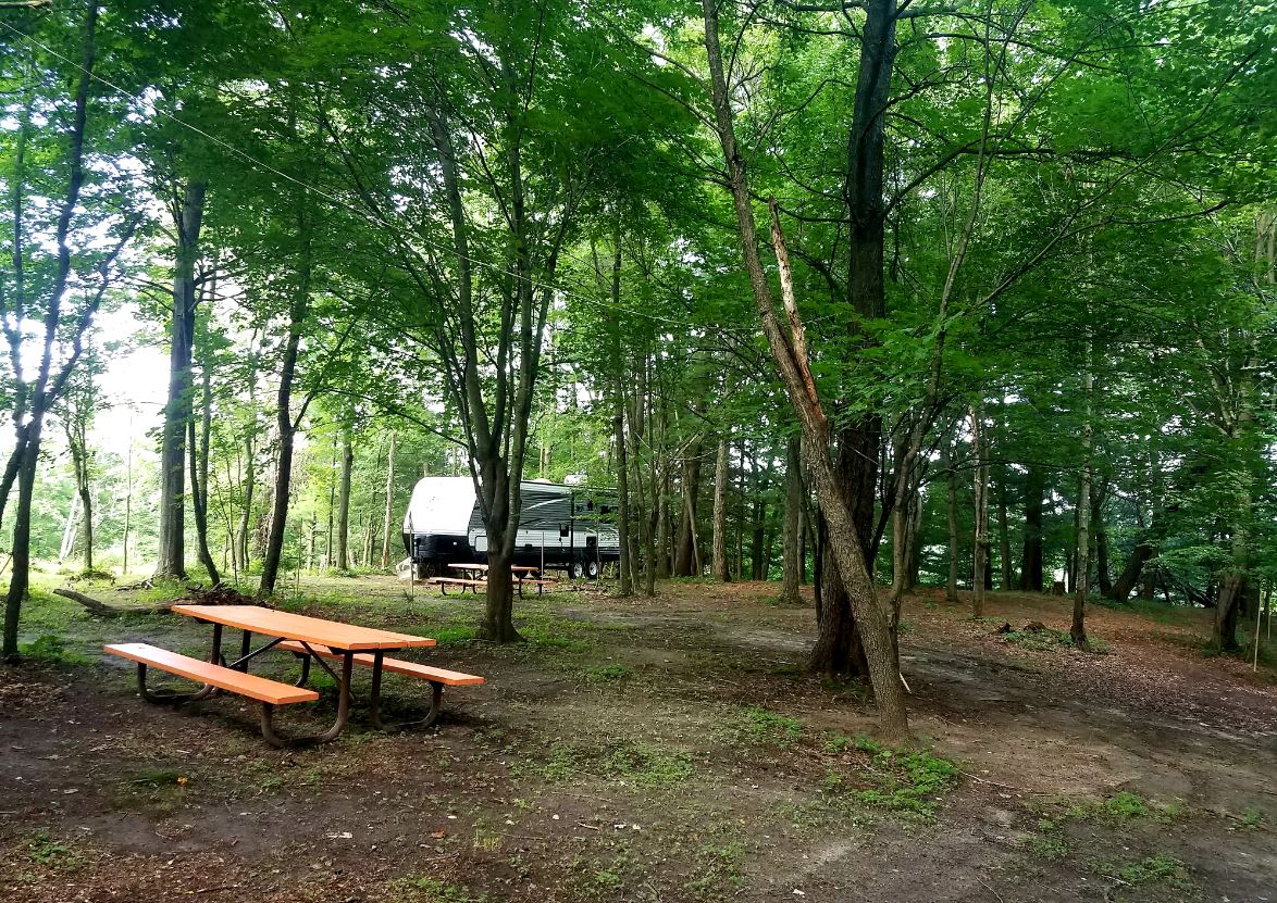 Ample space for many campers.