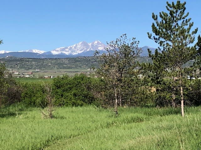 View from our yard toward Longs Peak in the spring.