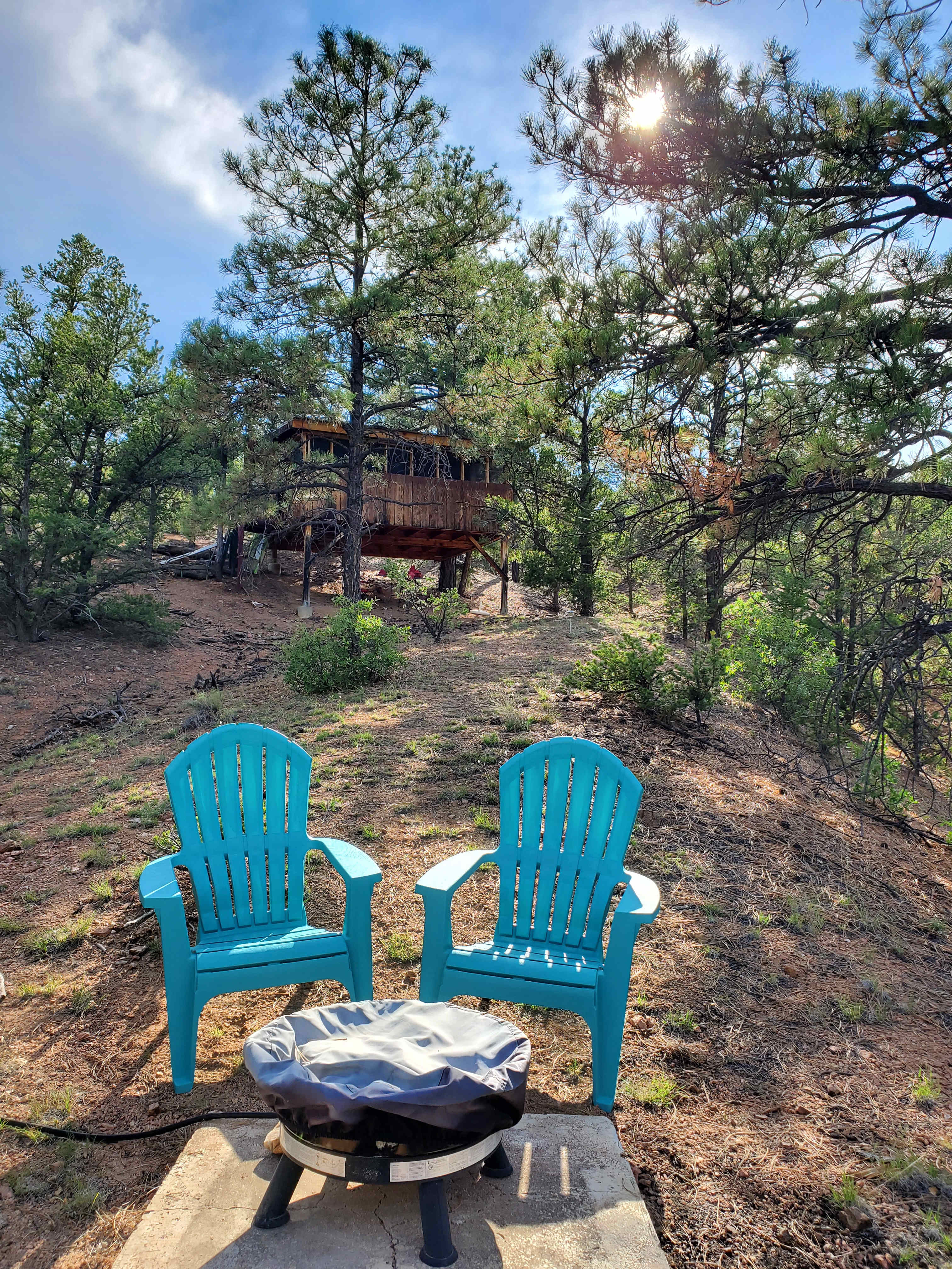 Nice view of the treehouse from the firepit area.