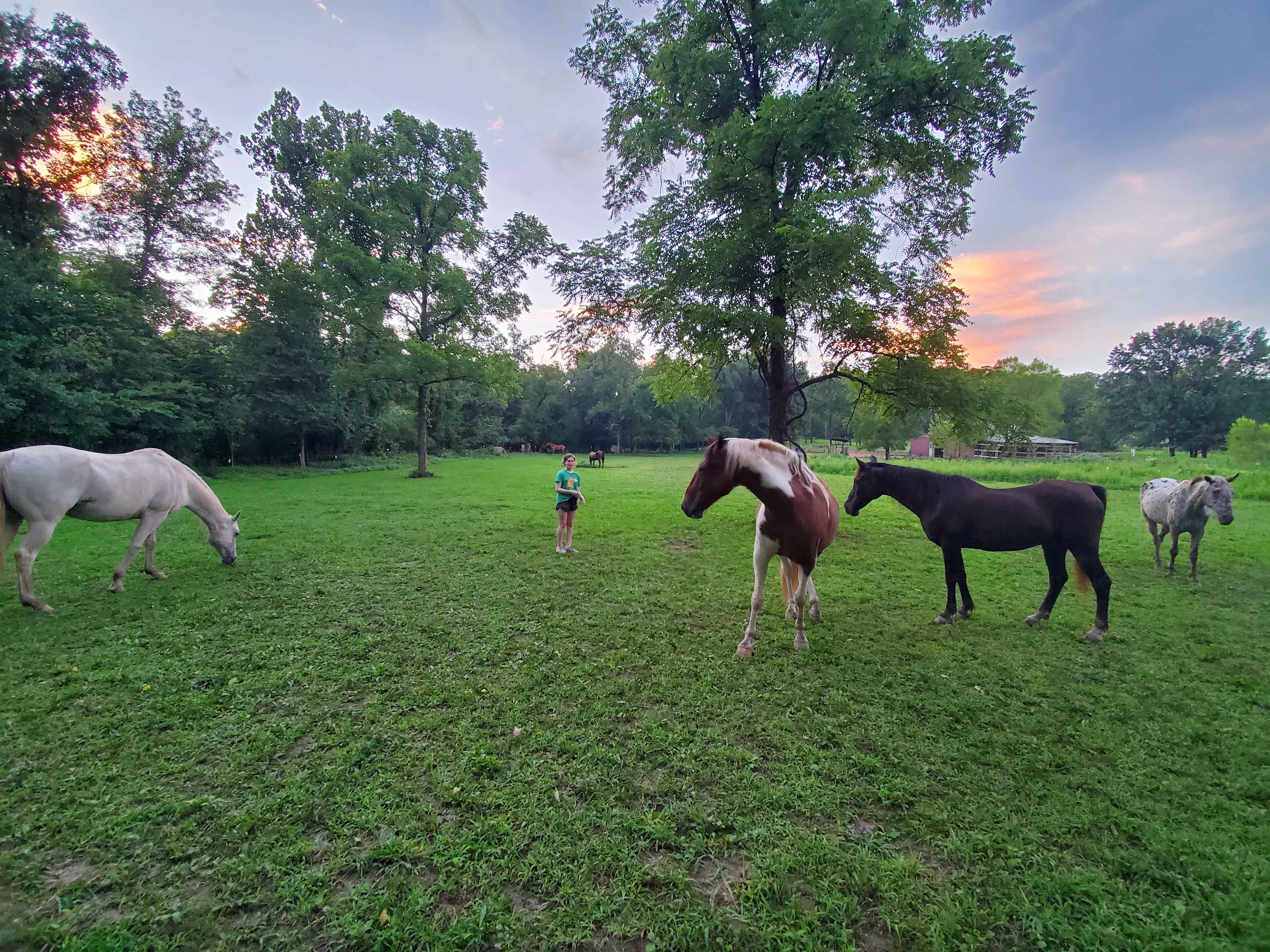 Hummingbird Hollow Outdoors