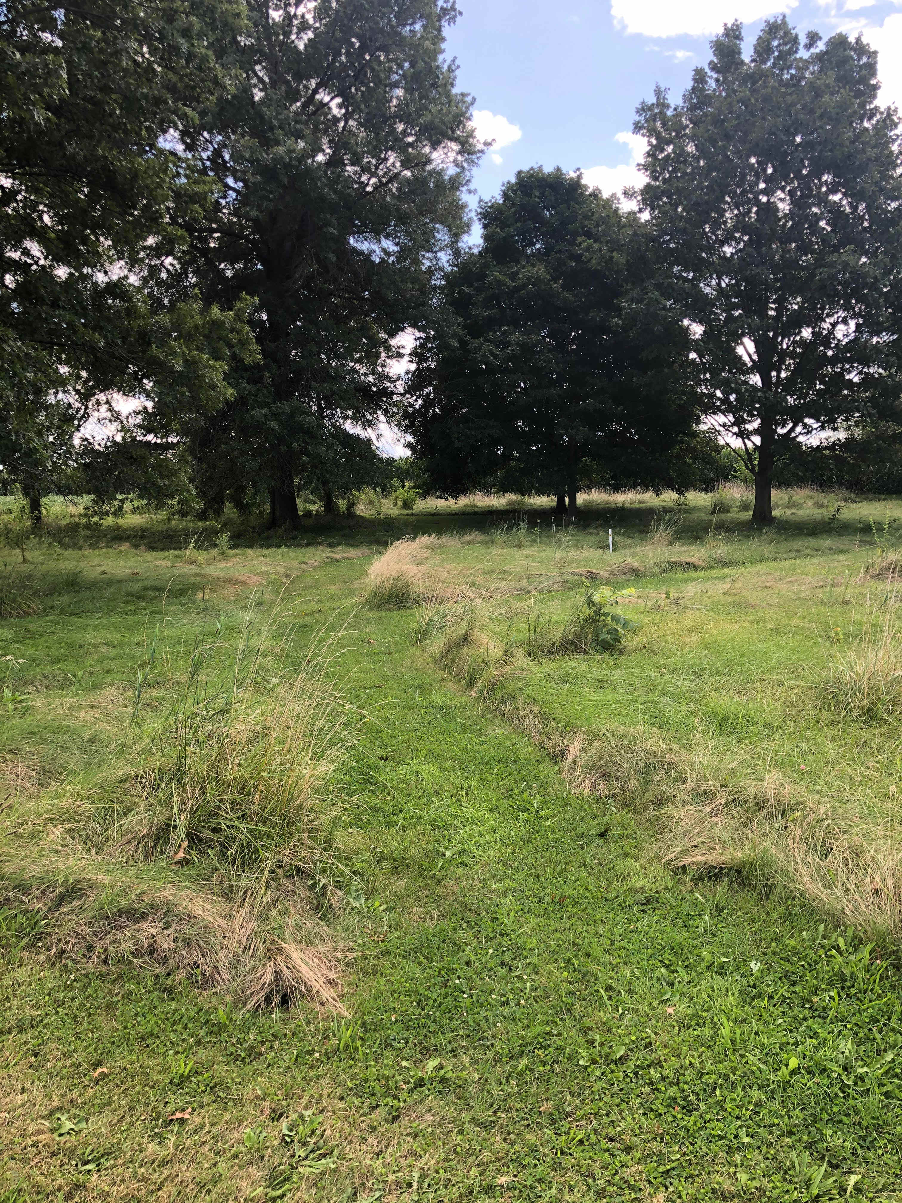Path to your remote tent site- Southeast Corner of Shady Grass area