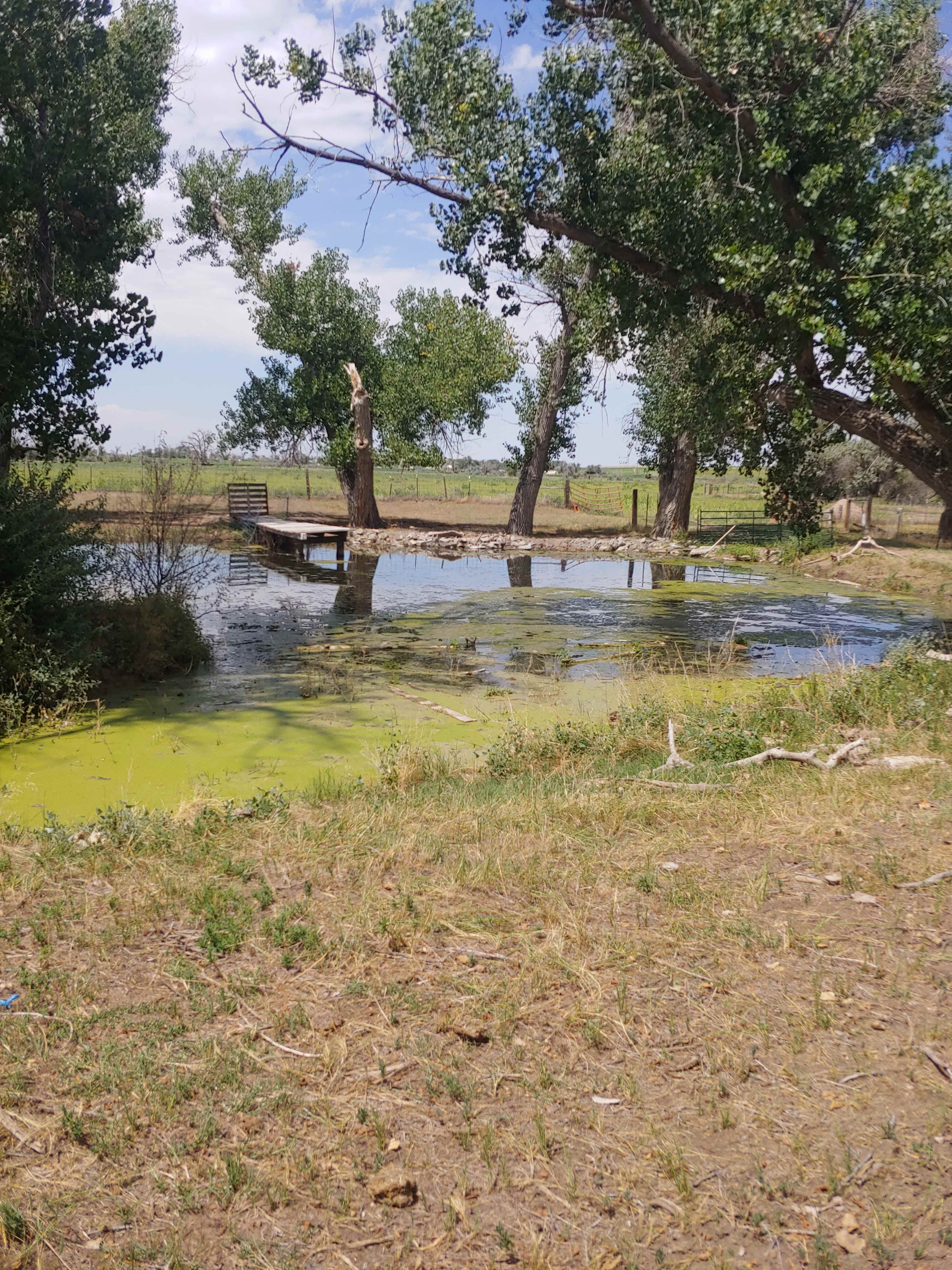 fishing hole, camp site is located on far side of water, swimming hole is off to right of this photo