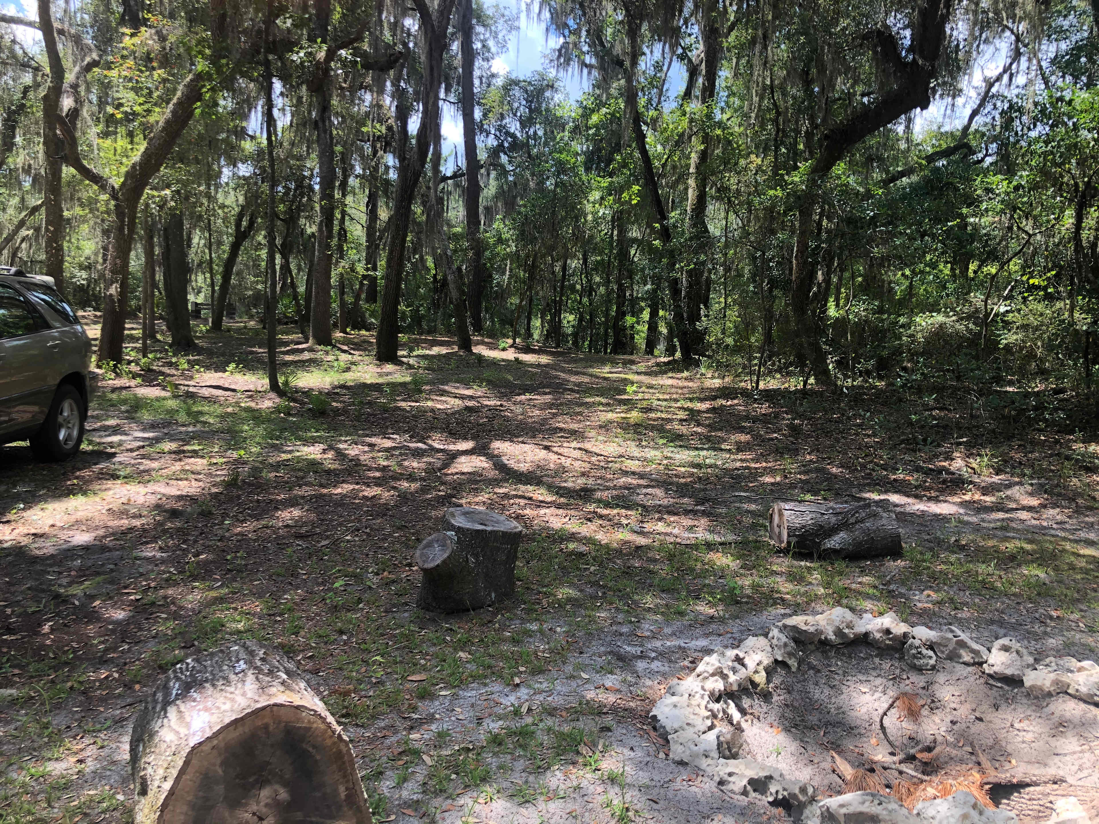 The campsite view from the fire pit to the river bank. 
