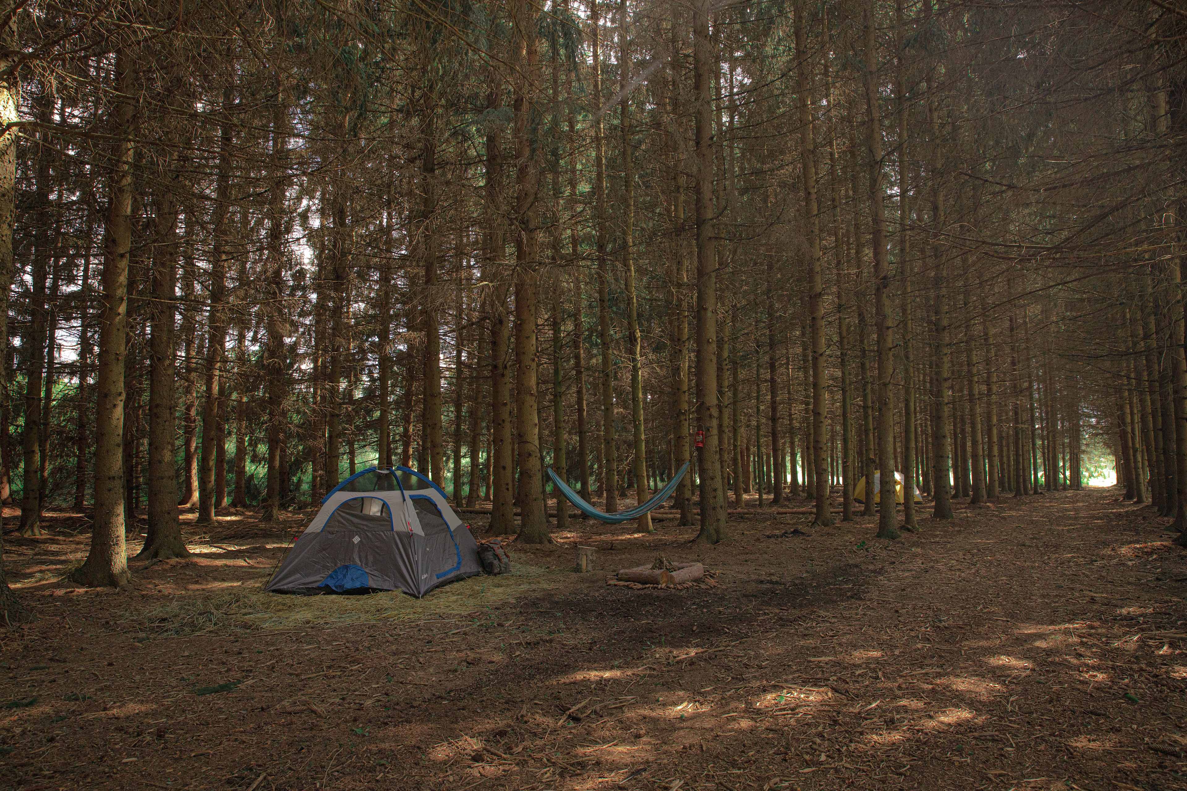 Tempest Ranch camp