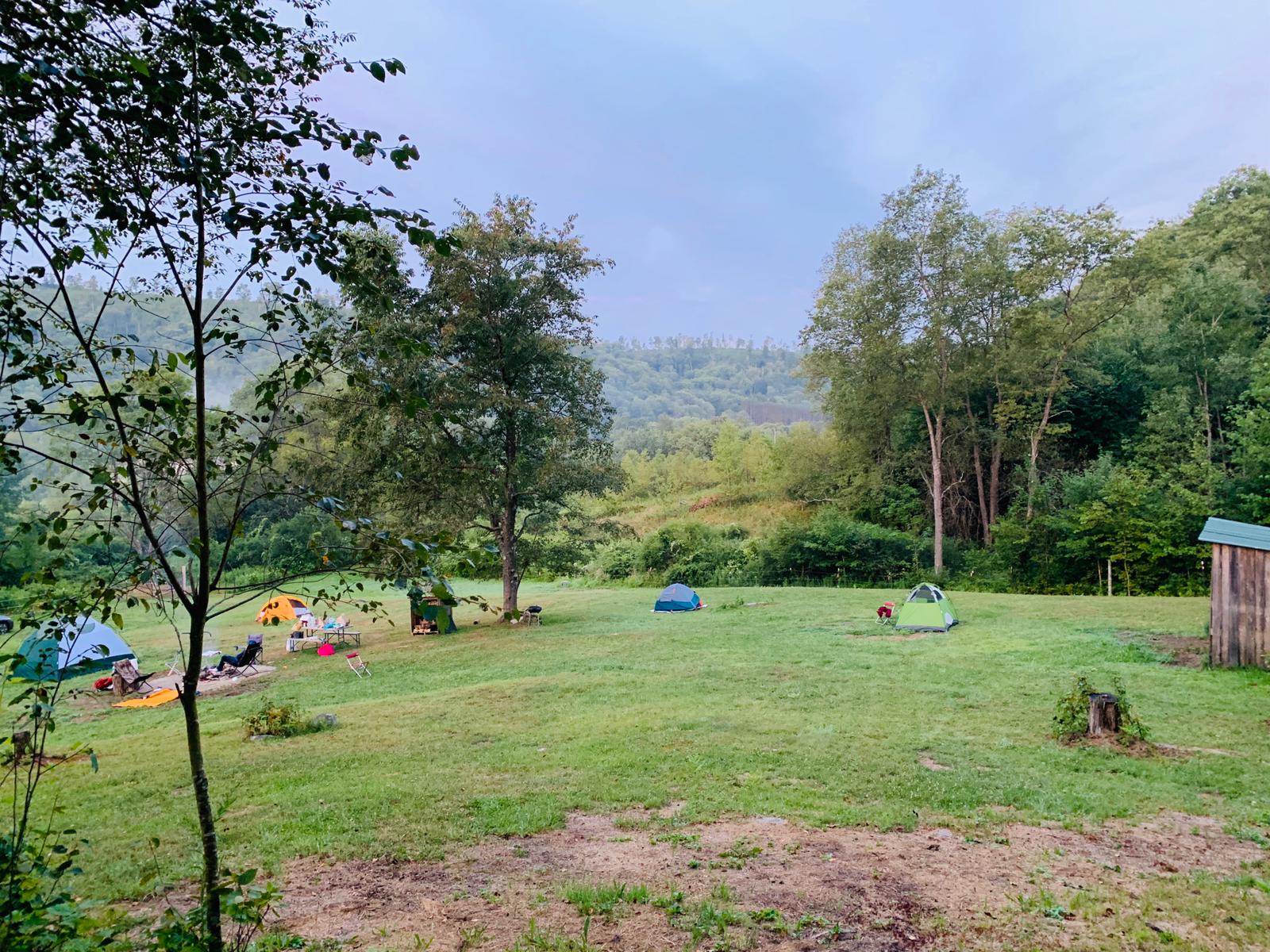 Triple Dream Farm