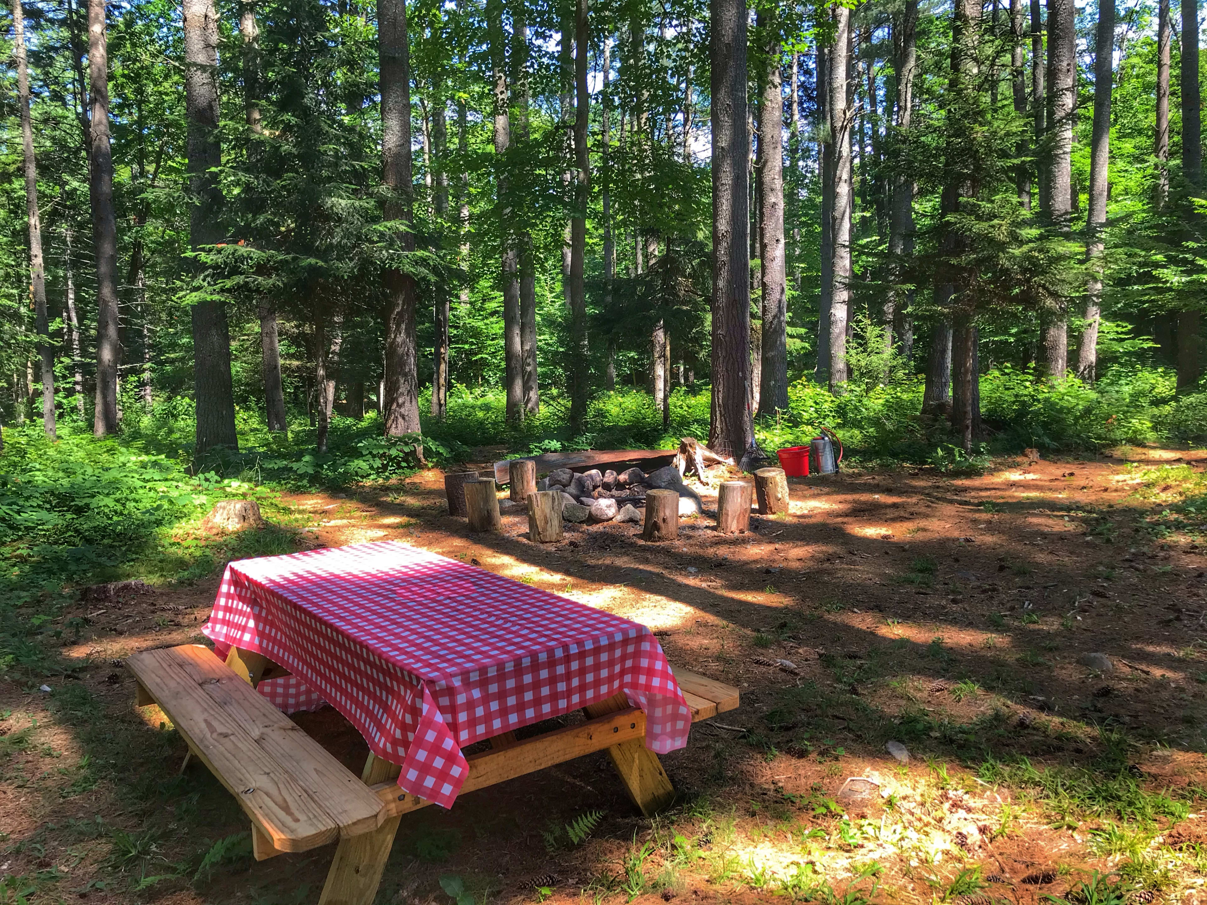 Lots of beautiful, quiet, privacy in the pines.