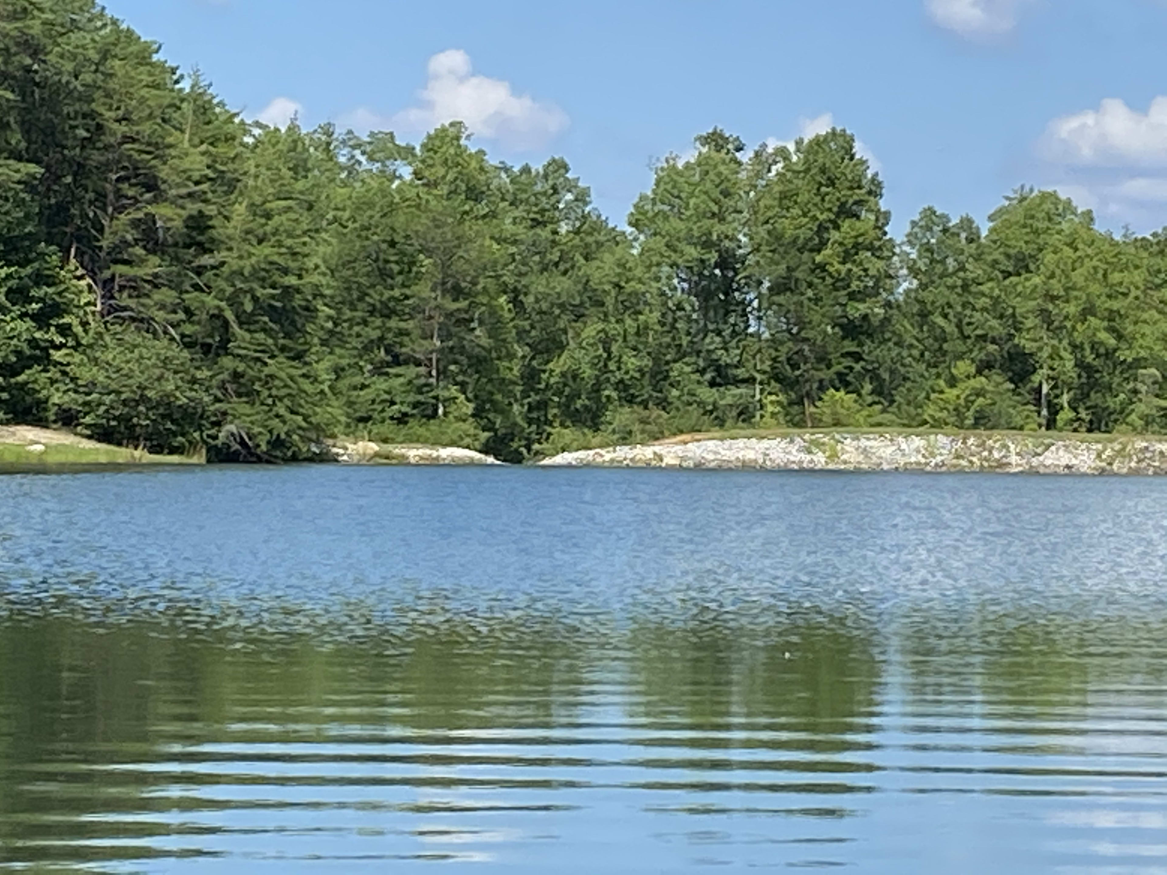 Sandy Stand lake. A 11 acre lake for swimming and fishing or paddle boating. 
