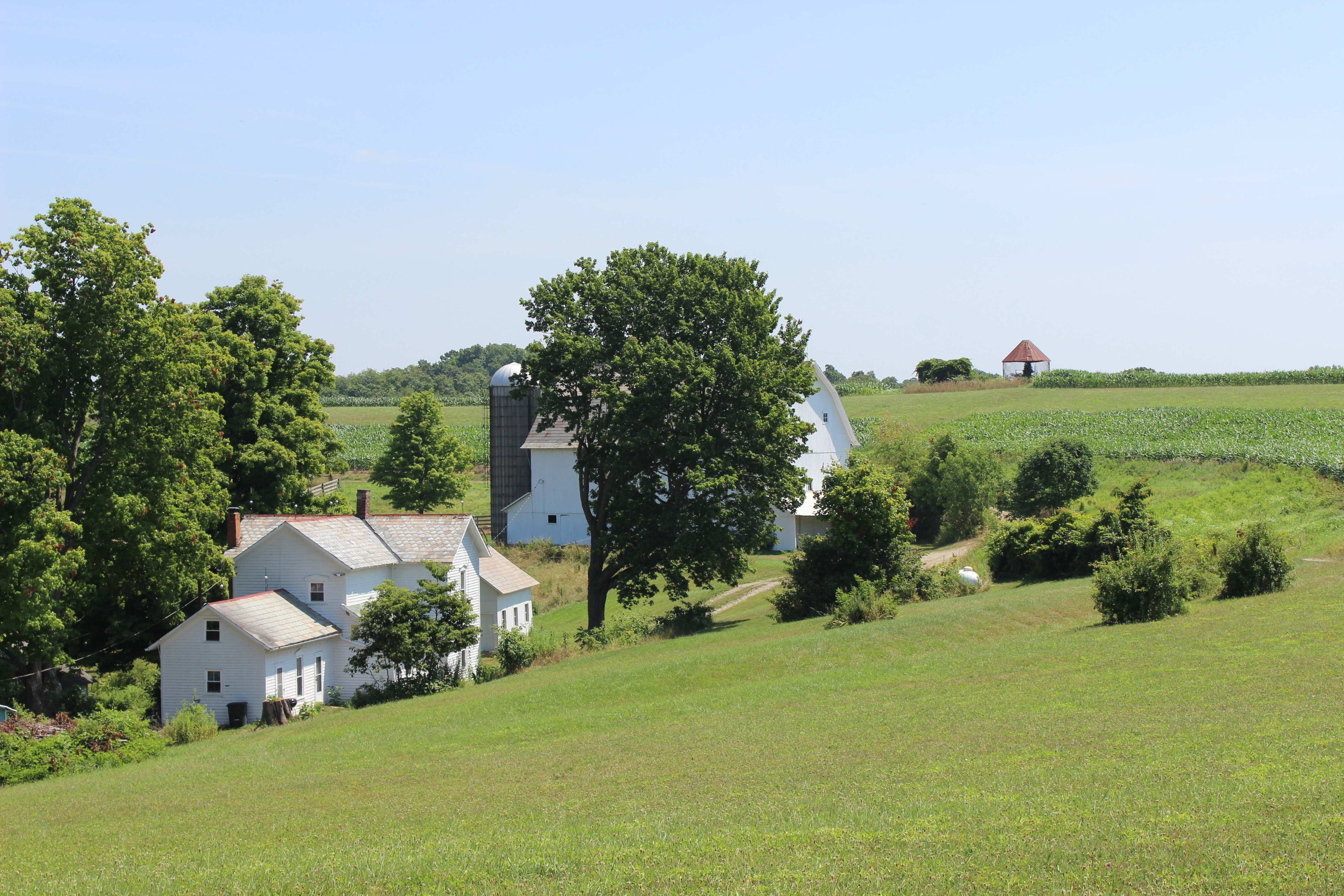 The McKee Farmhouse is nestled in the heart of a 230+ acre farm