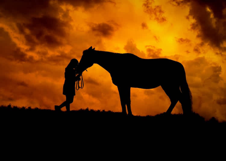 Misty Mountain Farm - Farm Stay